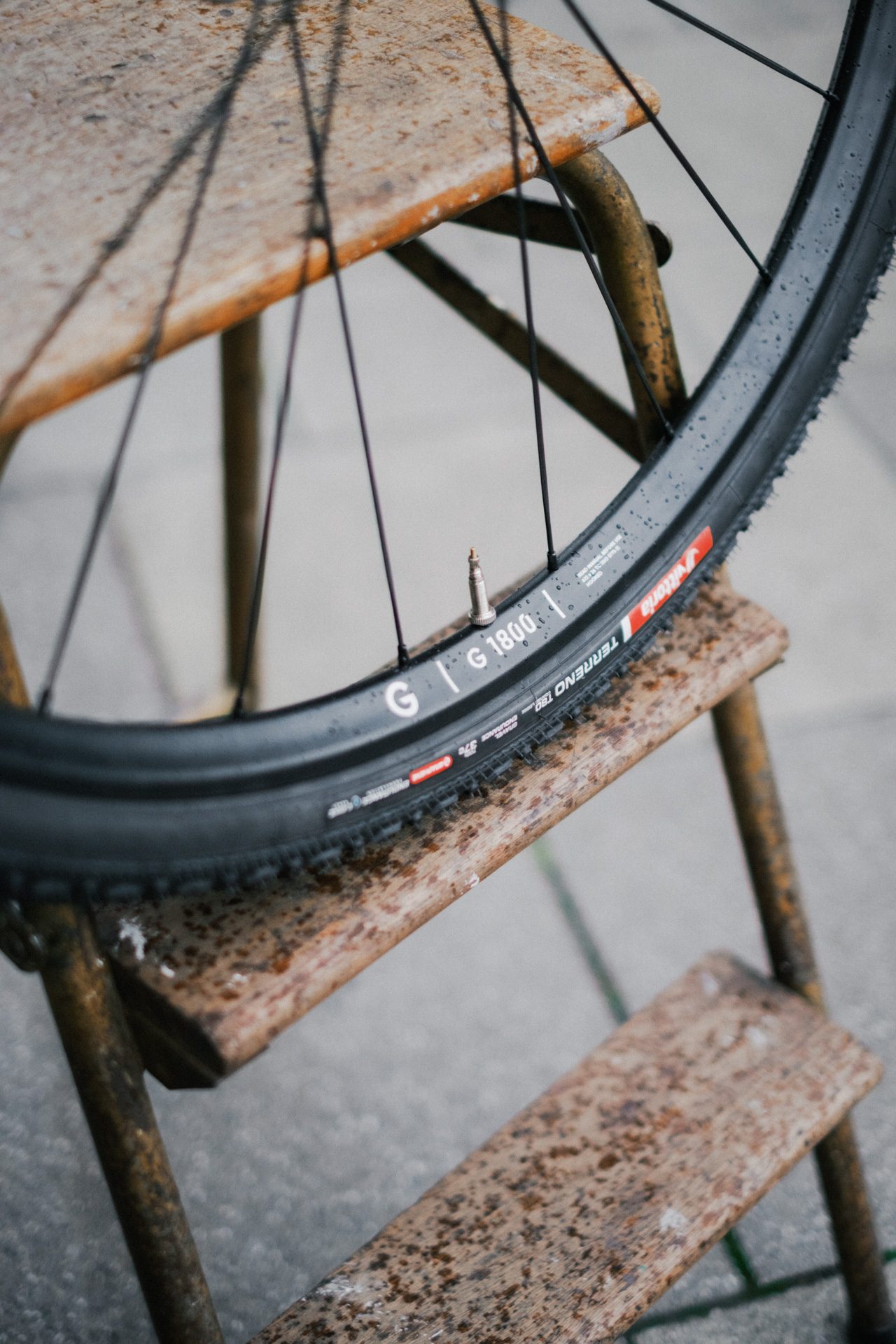 DT Swiss G 1800 gravel wheelset.