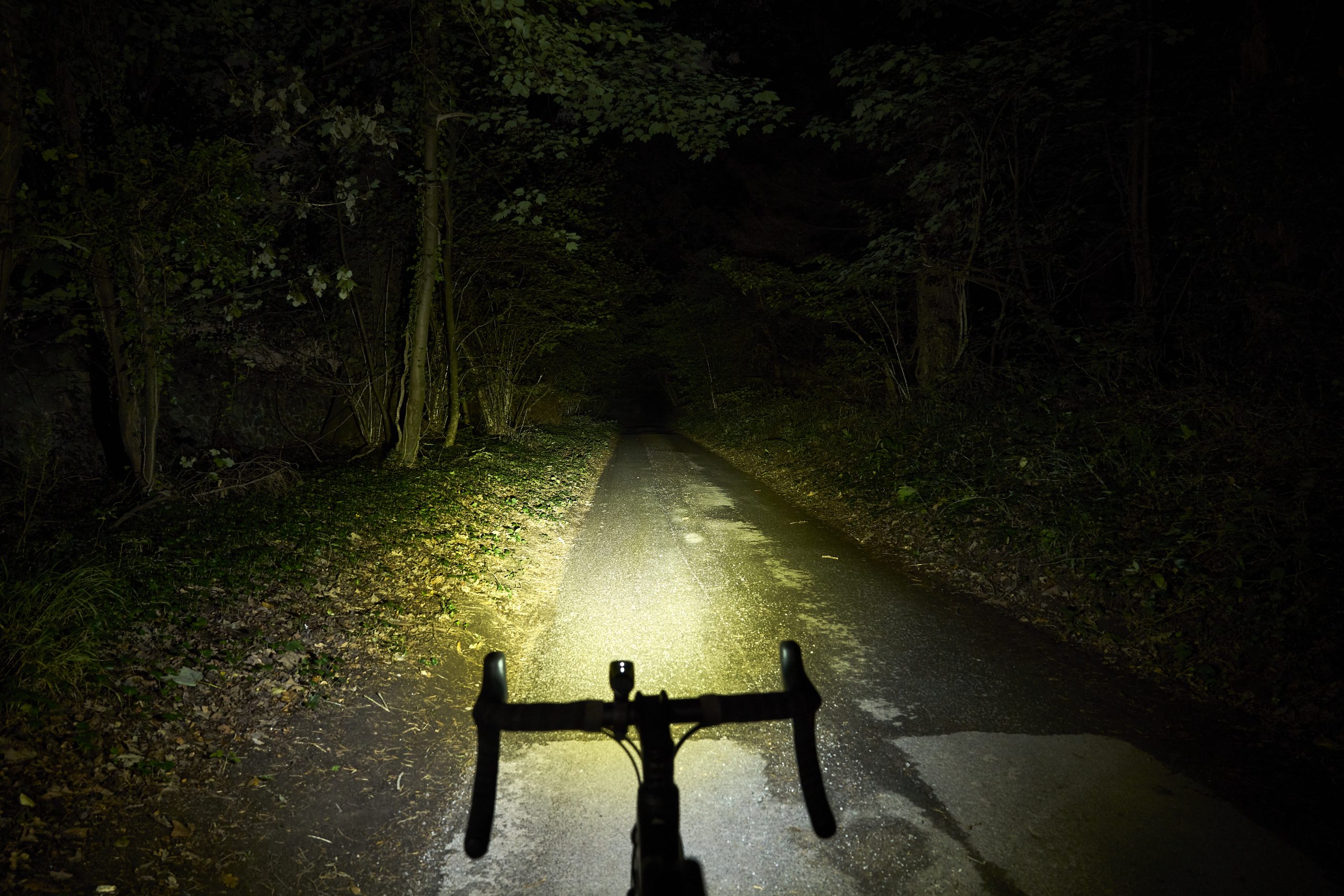 Sigma Buster 800 front light