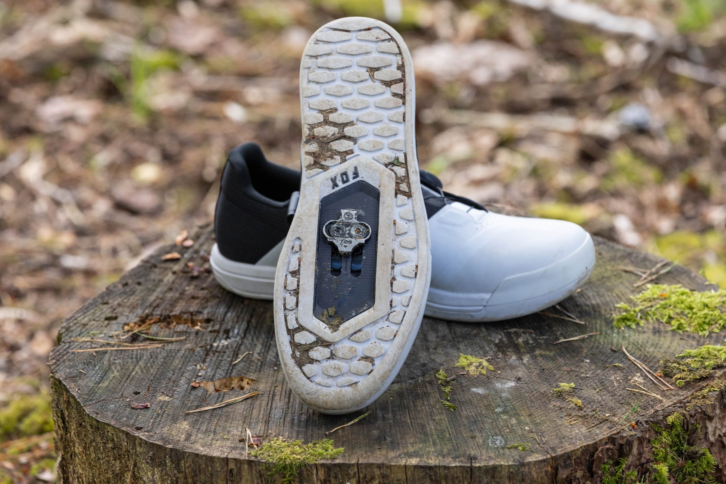 Fox Union sole