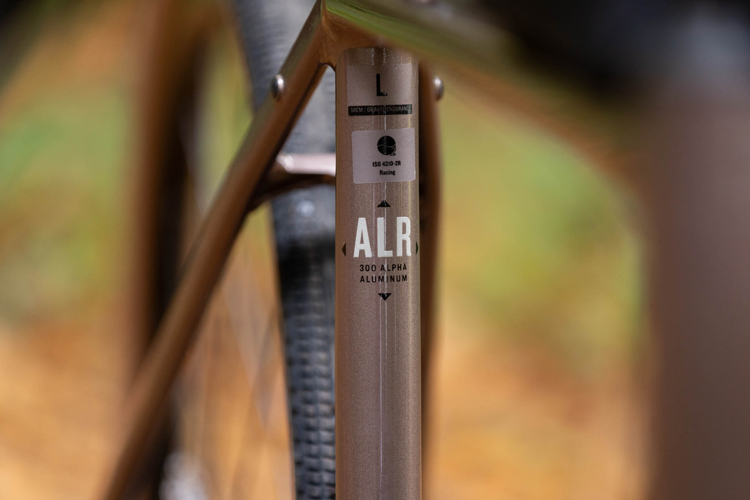 Checkpoint ALR frame