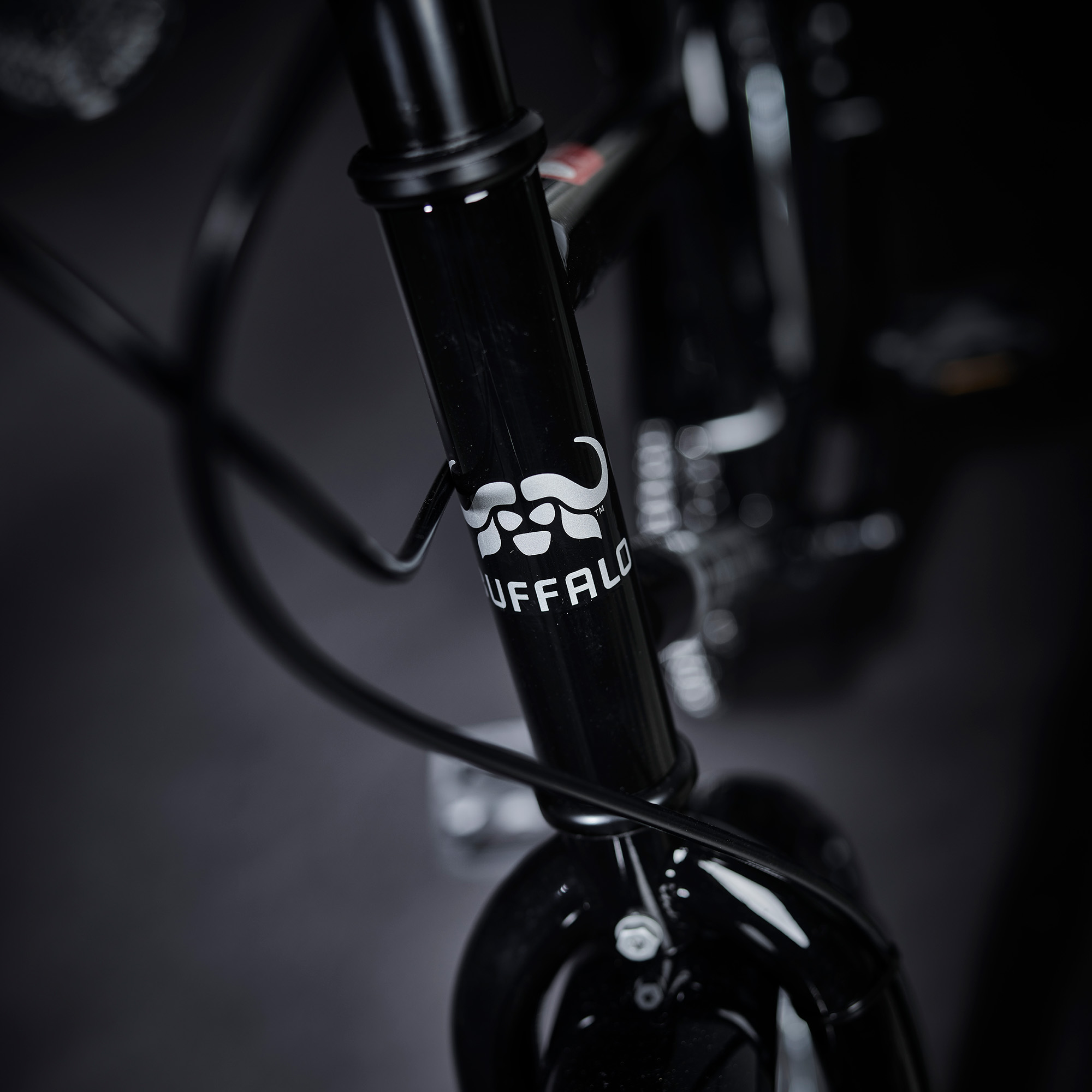 Buffalo Pro bike headtube.