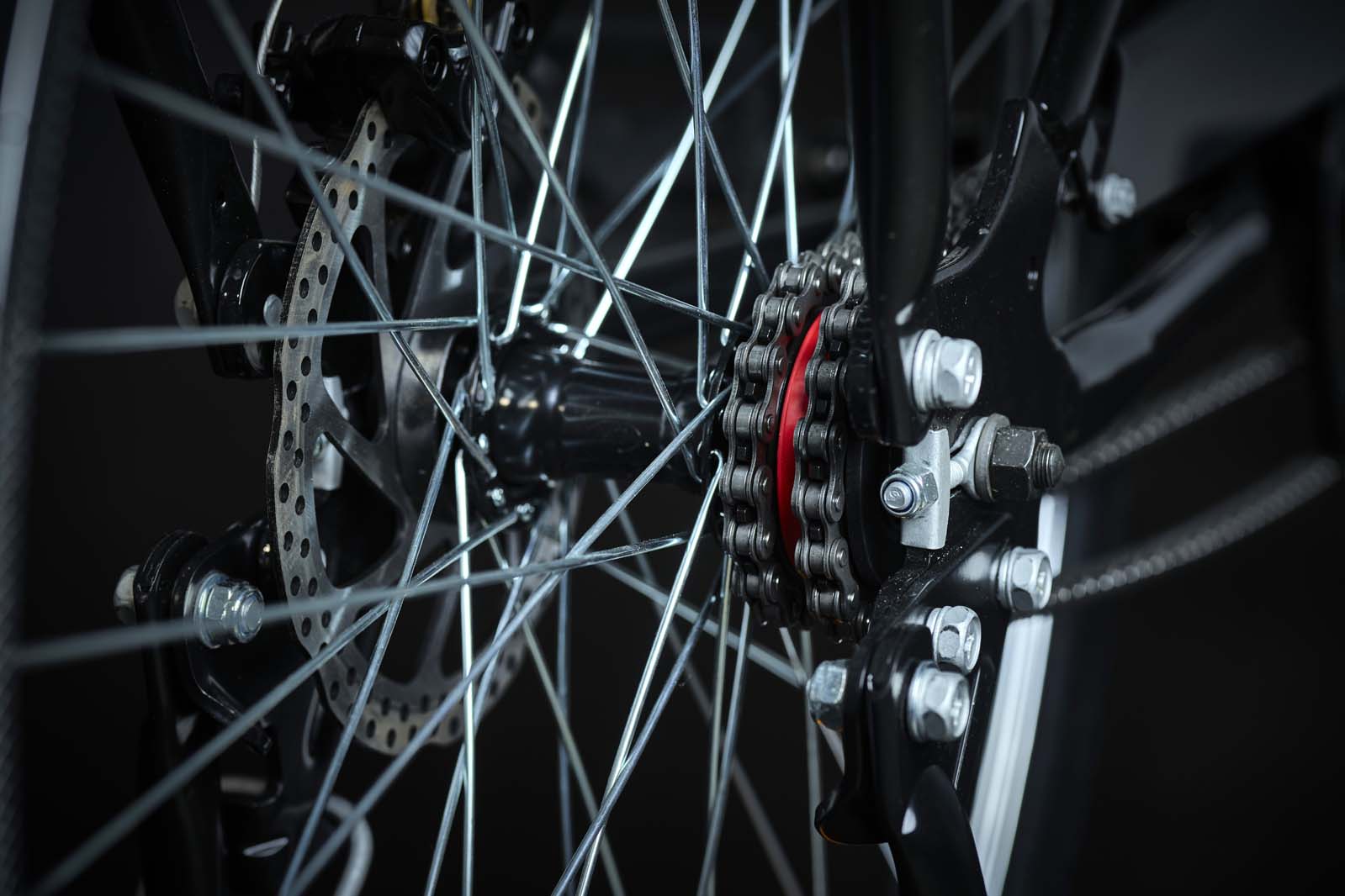 Buffalo Pro bike double chain.