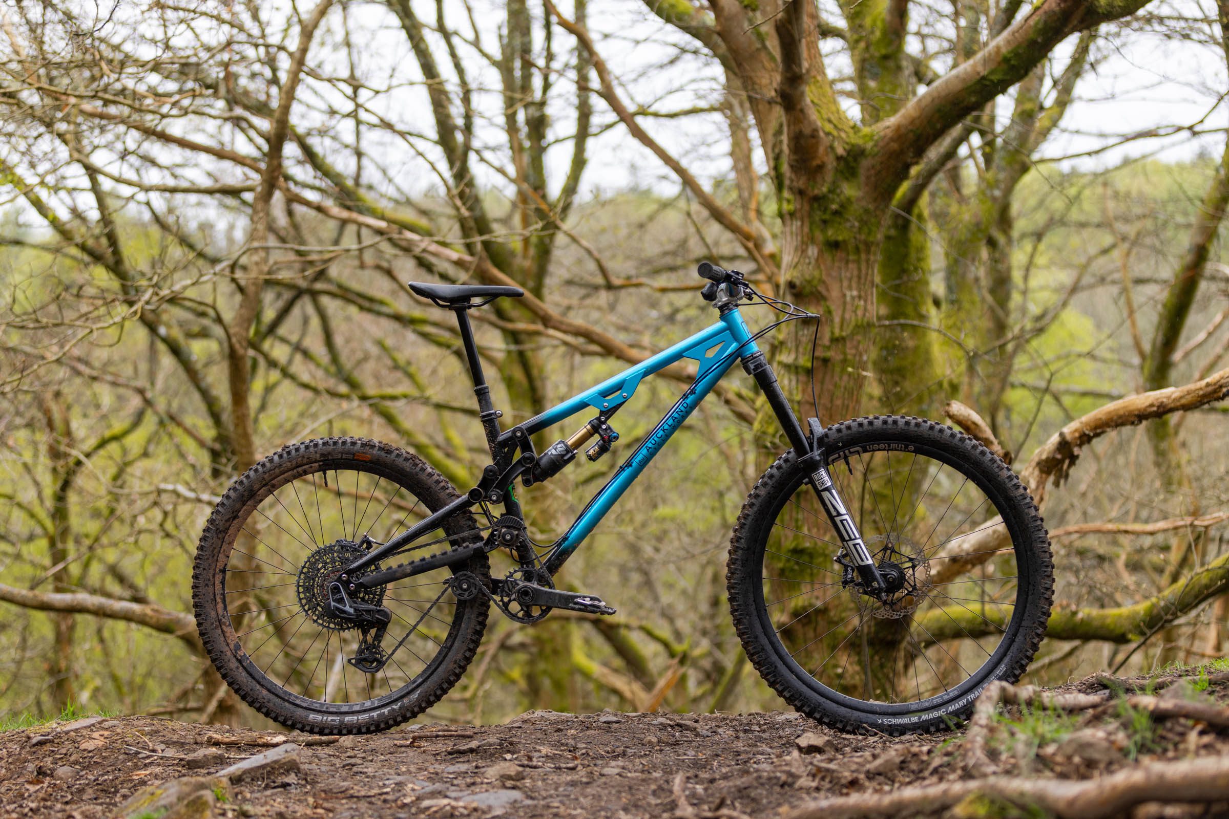 Side-on view of the blue Auckland Cycle Works Marra steel enduro mountain bike in woodland