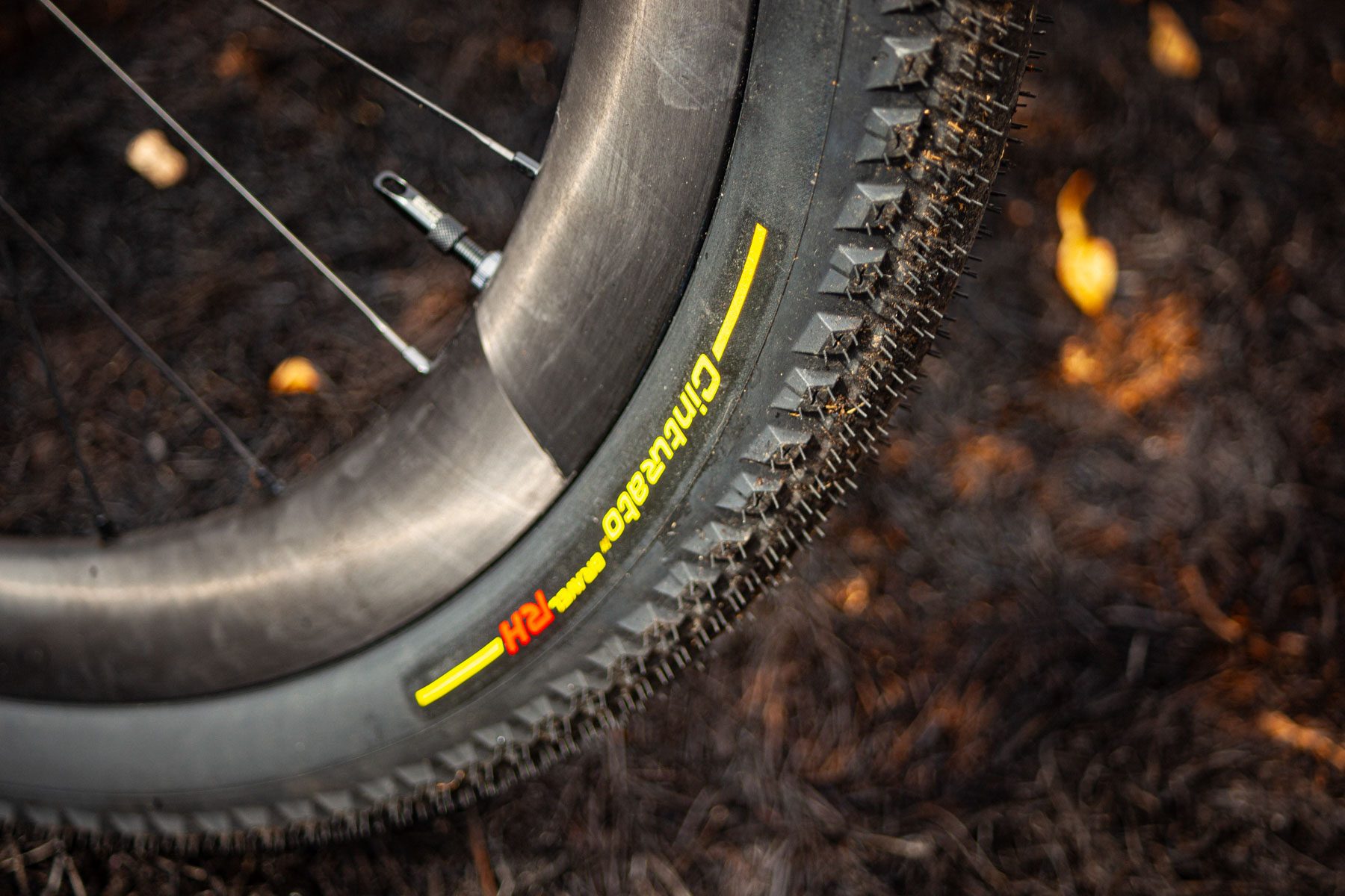My favourite gravel trails have been ravaged by wildfires this summer.
