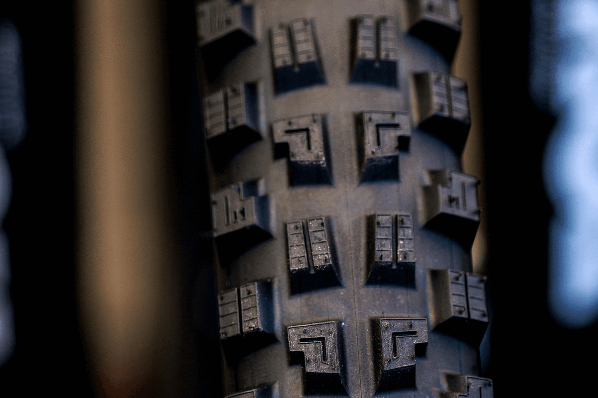 Close-up of the centre and shoulder tread blocks on a Maxxis Minion DHX tyre.