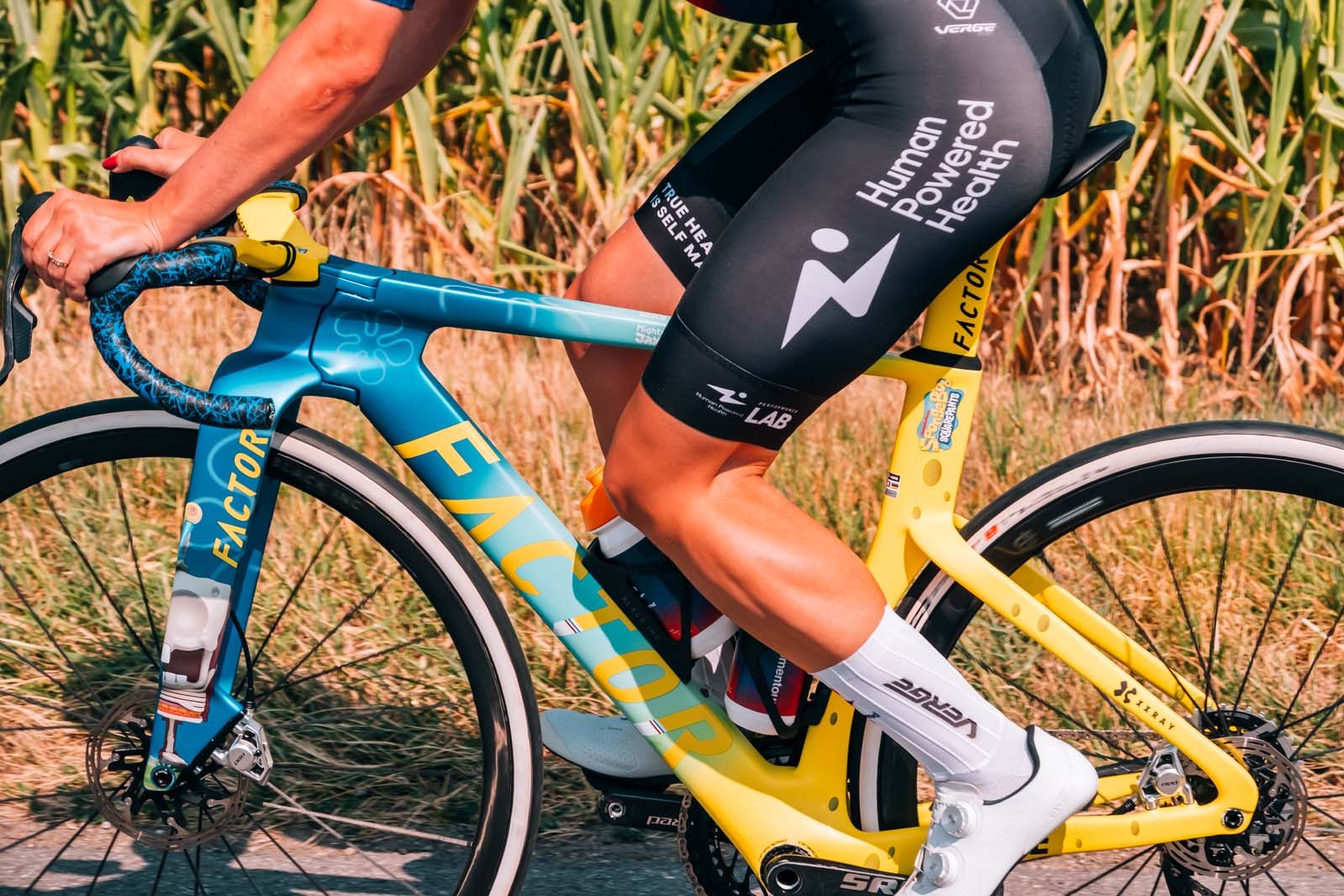 Factor ONE SpongeBob SquarePants.