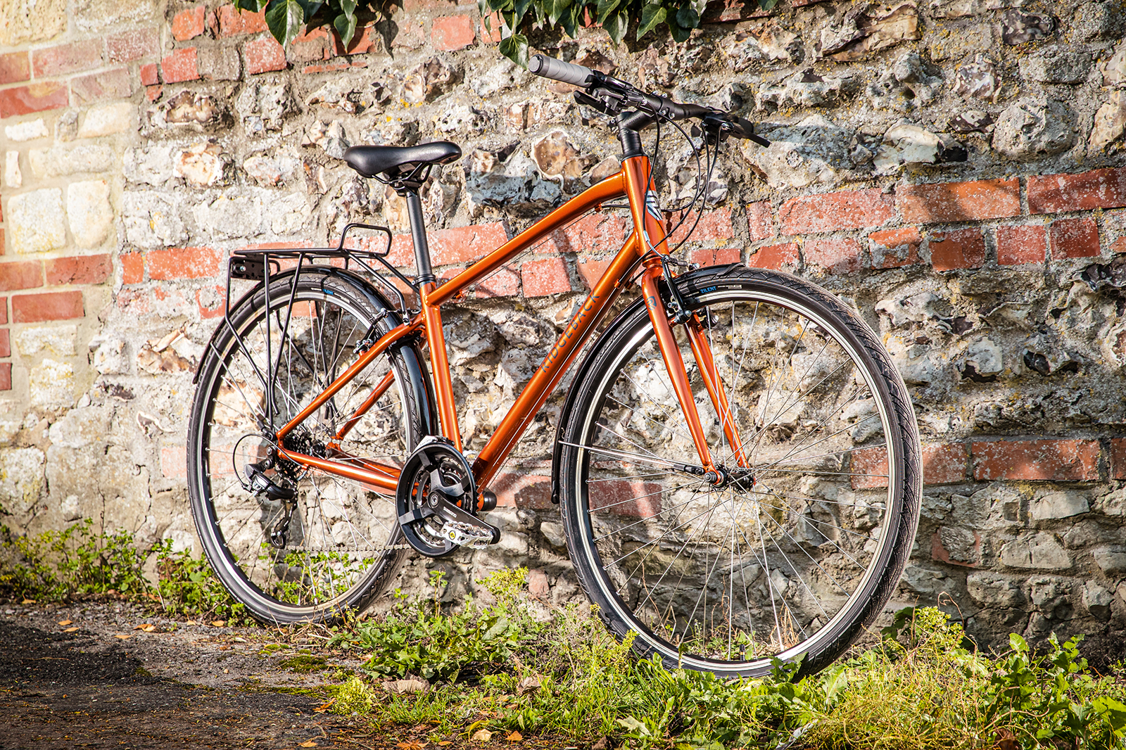 Pack shot of the Ridgeback Speed commuting bike
