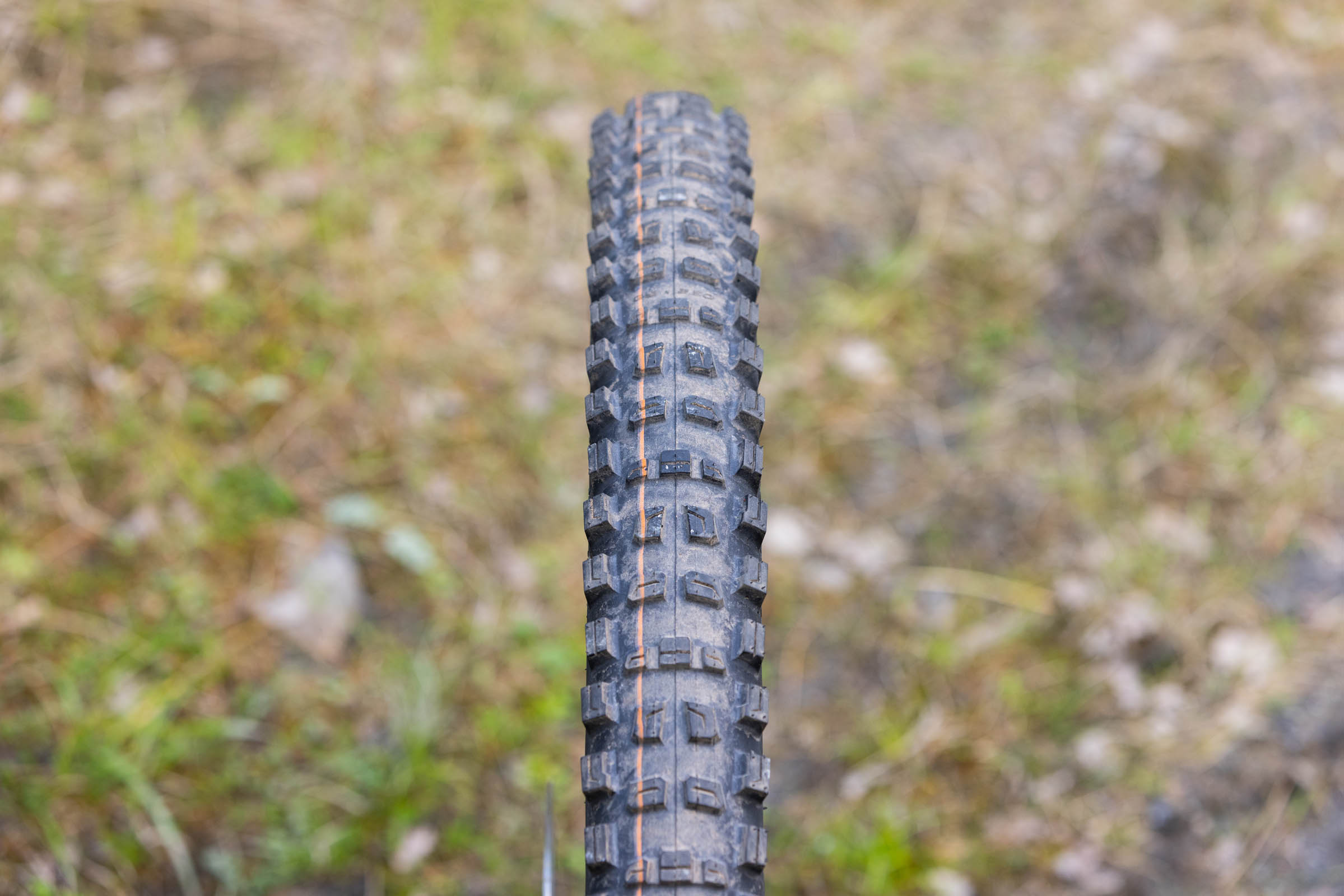 Top-down view of a Schwalbe Romy Trail Pro Radial Soft mountain bike tyre showing its tread pattern.