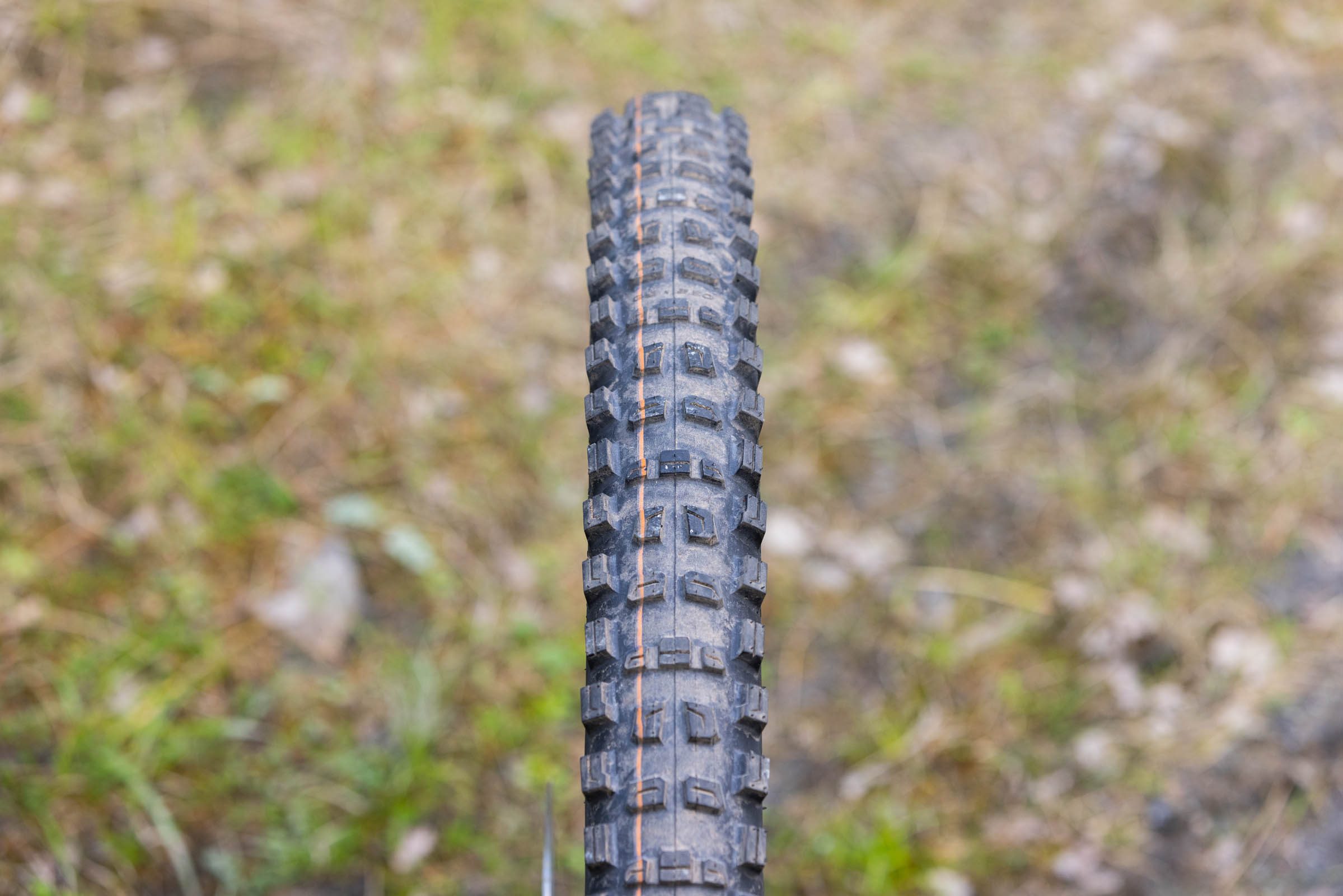 Top-down view of a Schwalbe Romy Trail Pro Radial Soft mountain bike tyre showing its tread pattern.