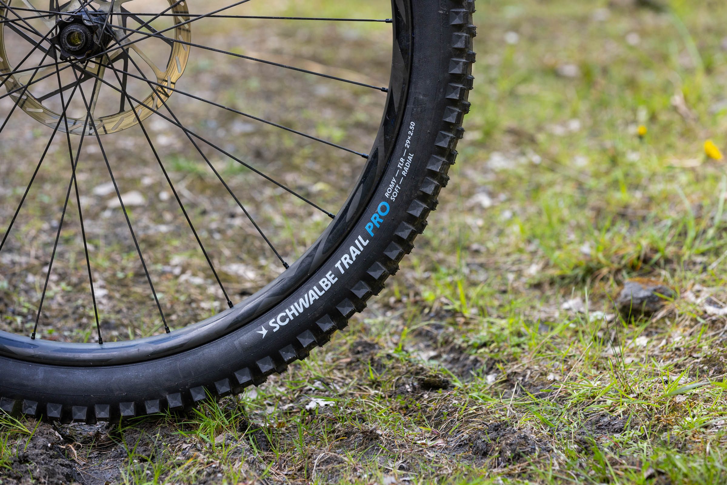Side view of a Schwalbe Romy Trail Pro Radial Soft mountain bike tyre mounted on a wheel.