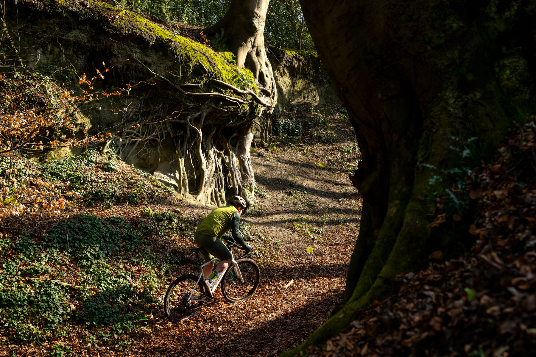 Orbea Terra ride
