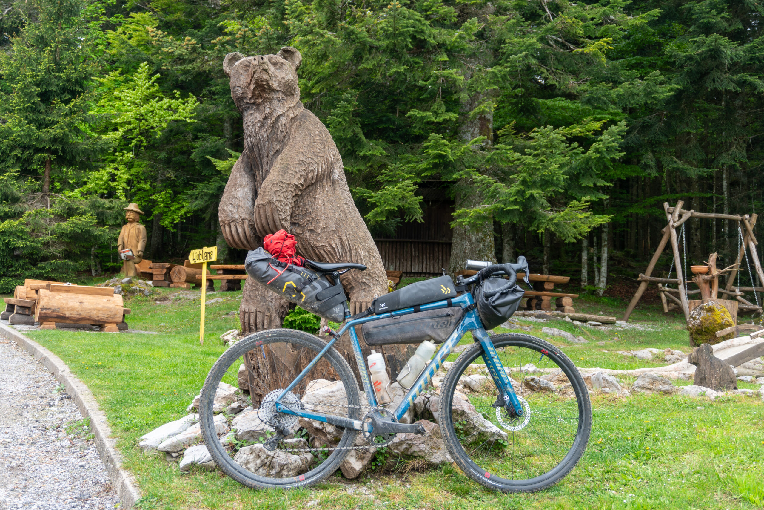 Niner RLT 9 RDO against a brown bear statue 
