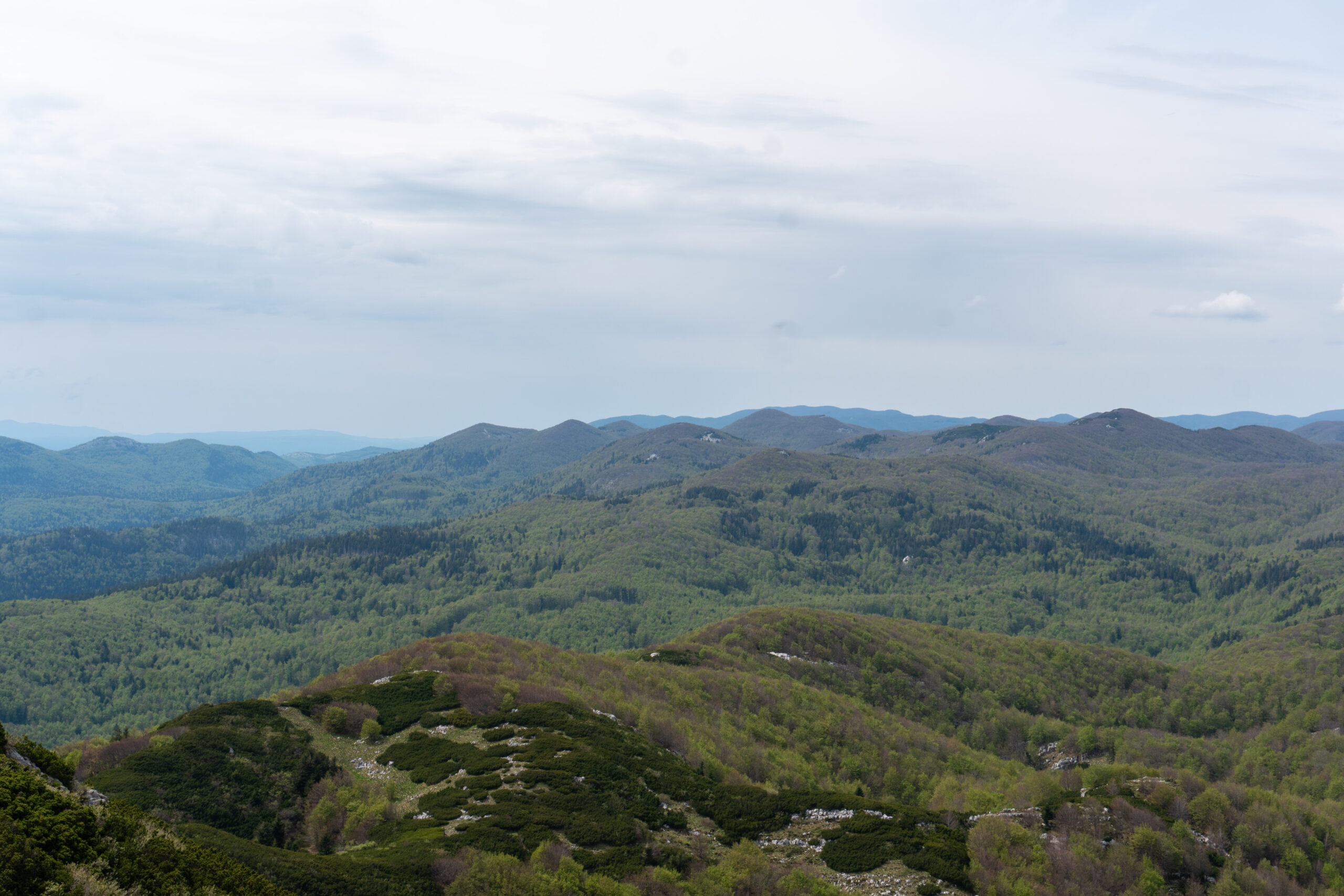 Slovenian Mountain View