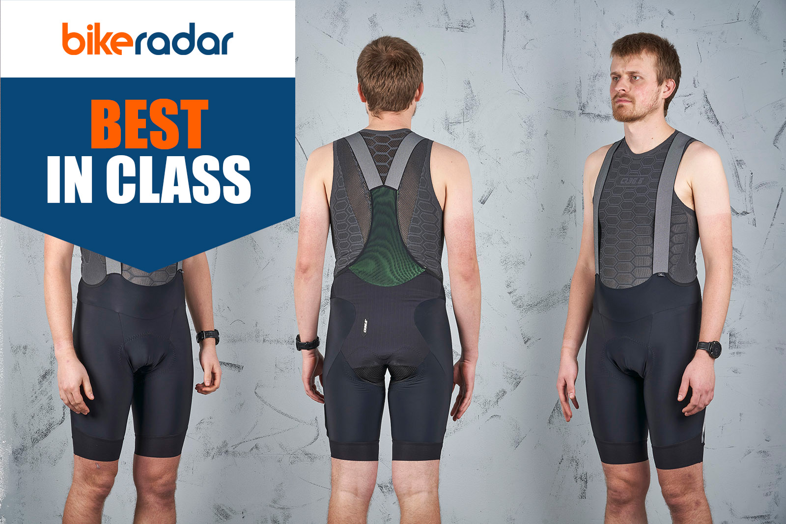 Q36.5 Gregarius Pro bib shorts Best in Class