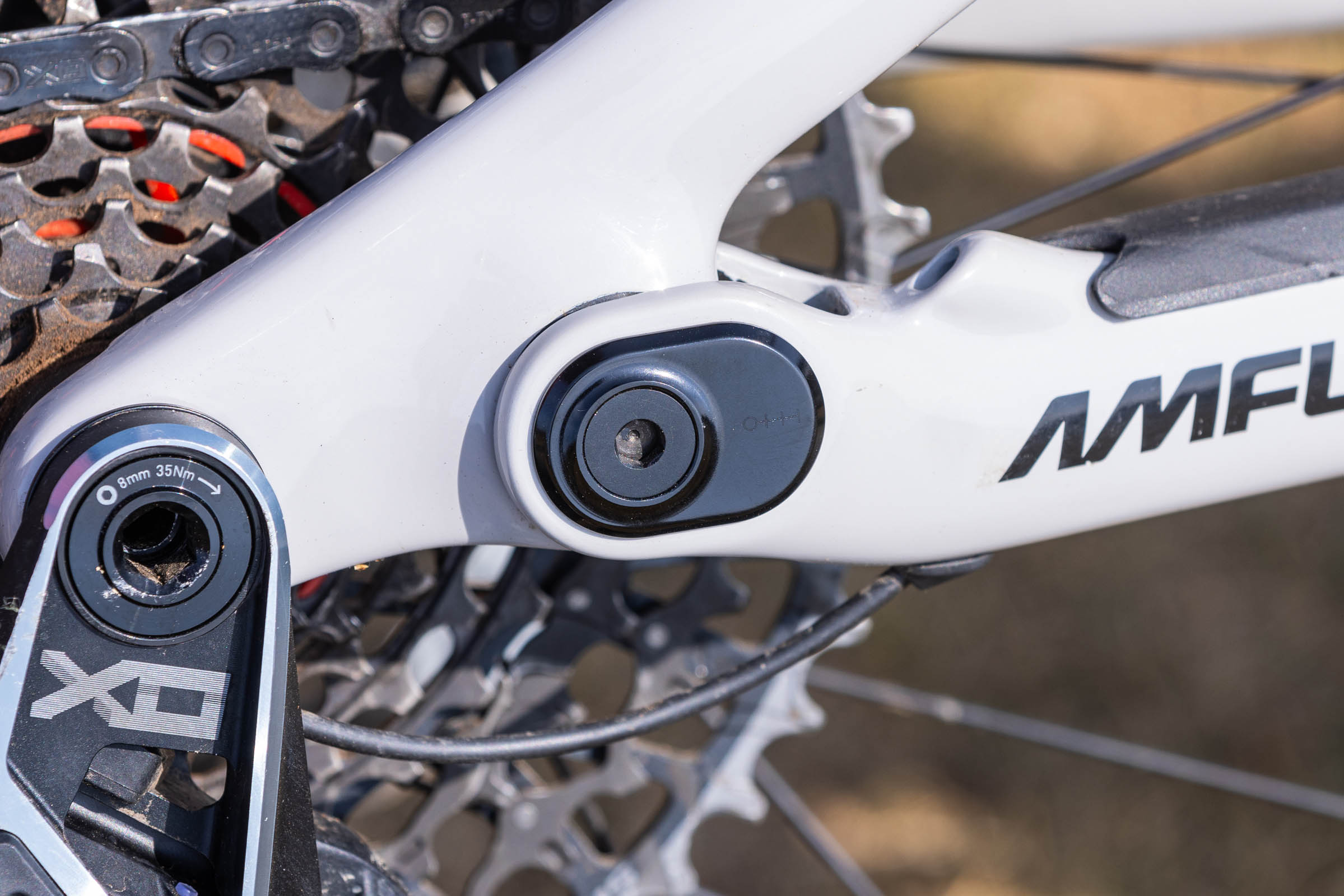 Close-up of the Amflow PX Carbon Pro rear dropout and adjustable chainstay hardware