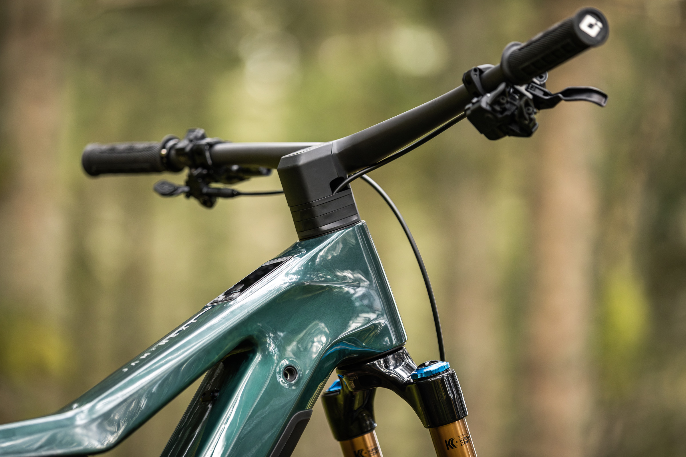 Focus Bikes Jam2 NEXT electric mountain bike