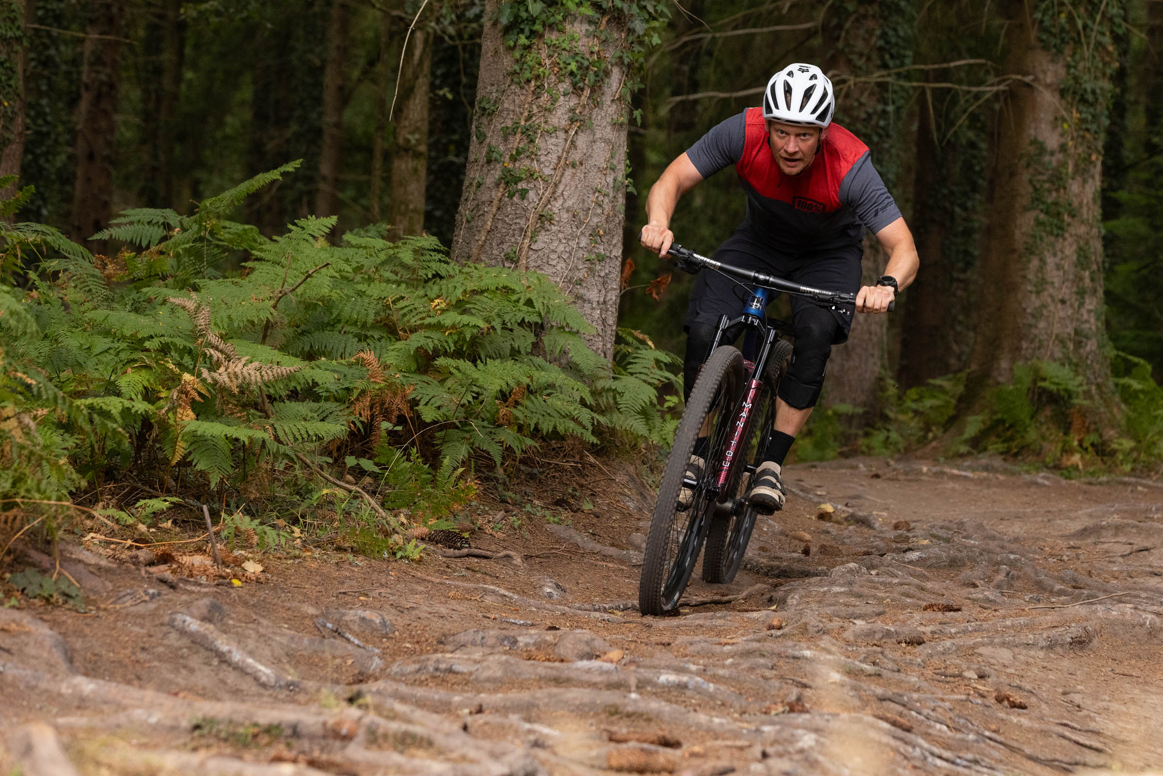 Rider descending a rooty forest trail on the Sour Cycles Pasta Party 32 hardtail mountain bike.