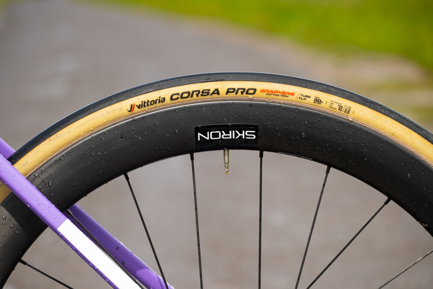 Vittoria's Corsa Pro's.