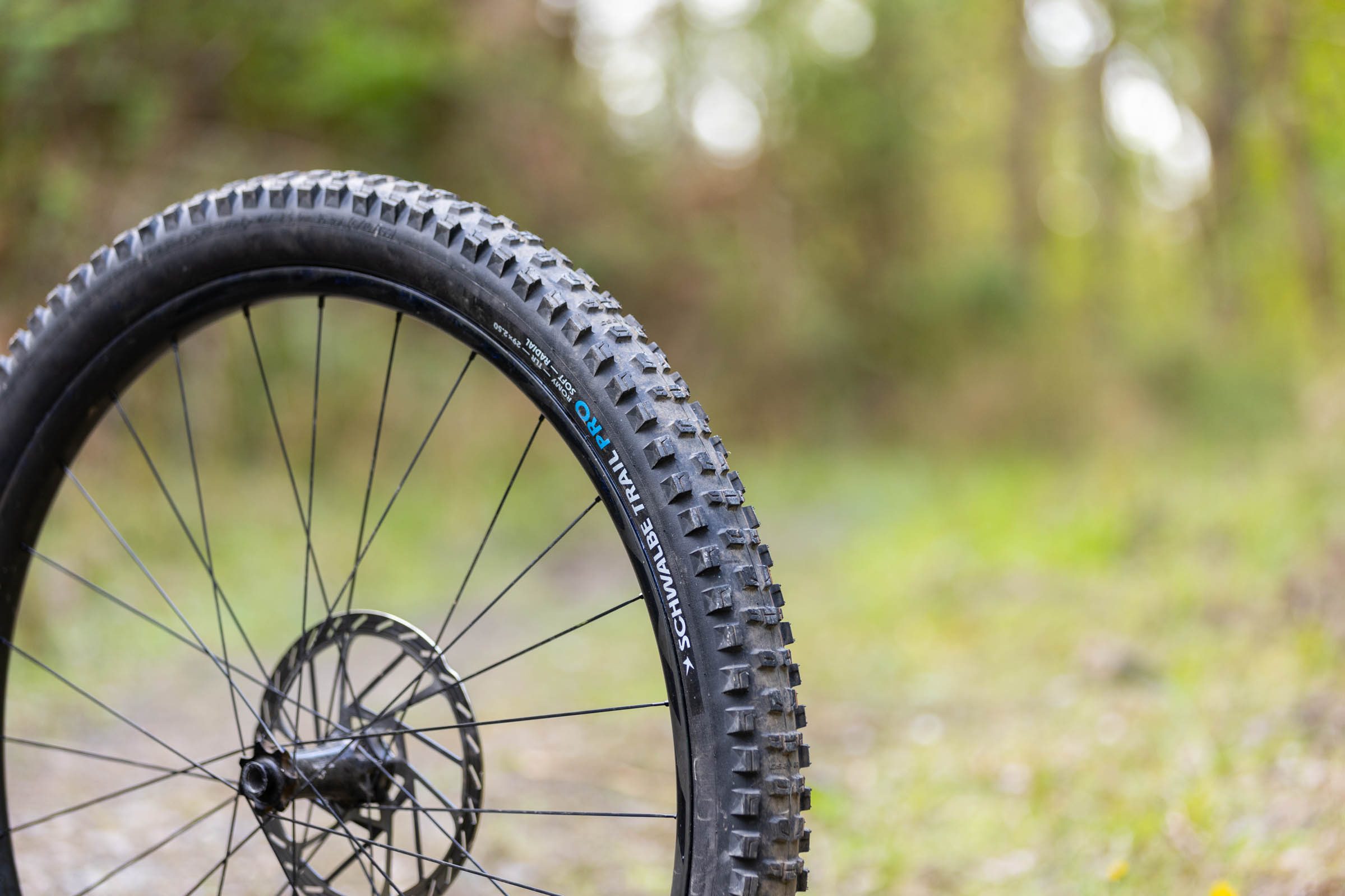 Schwalbe Romy Trail Pro Radial Soft mountain bike tyre mounted on a wheel in woodland.