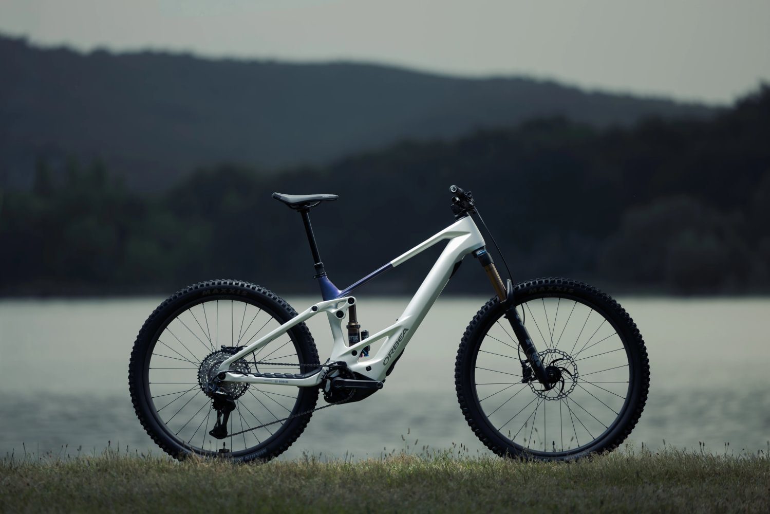 Orbea Wild TR next to lake