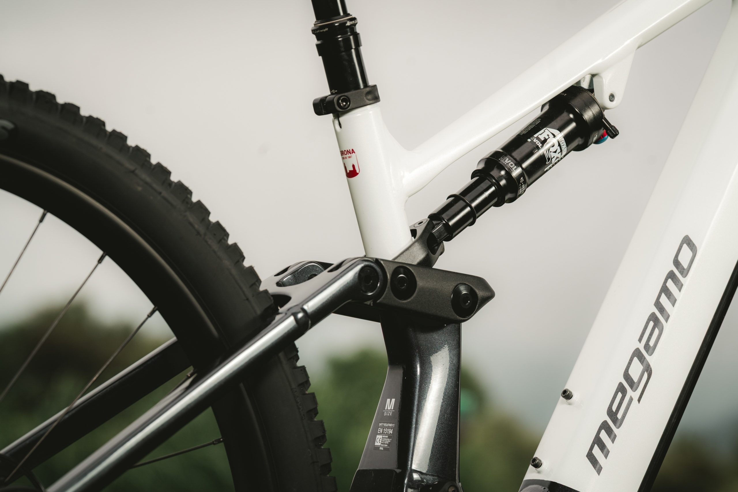 Cropped shot showing Megamo Ryal rear shock and driving link.
