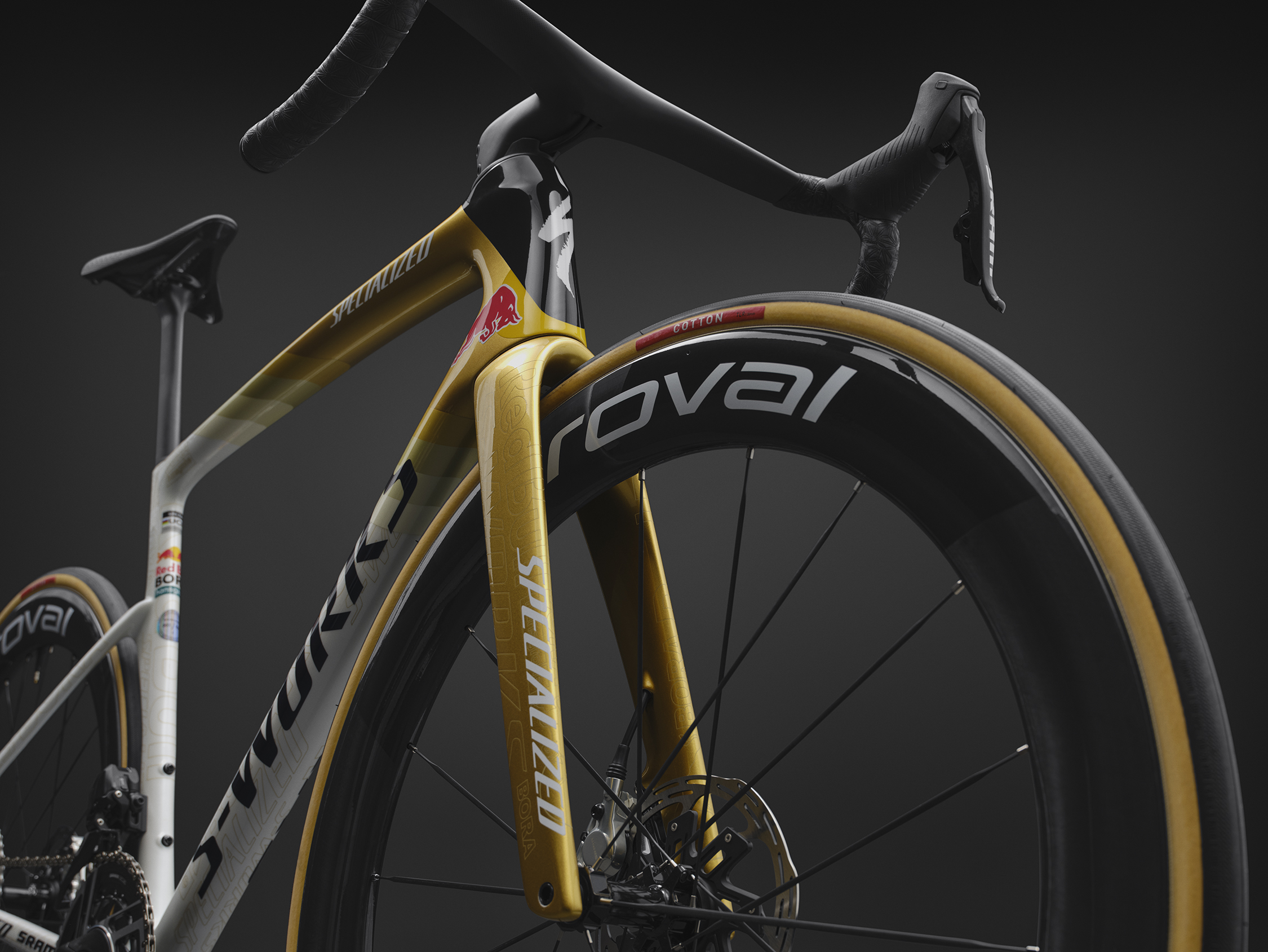 Specialized S-Works Tarmac SL9 Remco