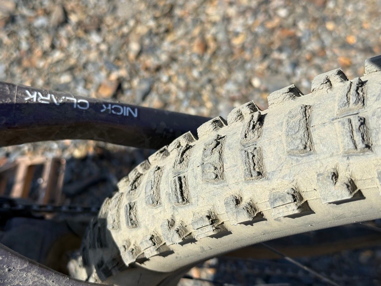Orbea Wild LT M-LTD RS with tyre wear