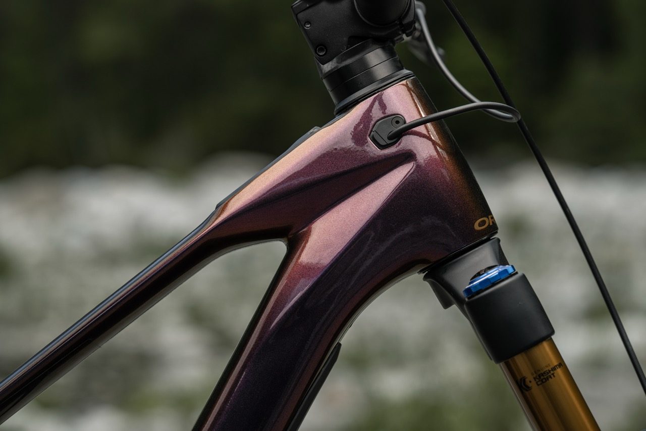 Orbea Wild LT M-LTD RS cable routing