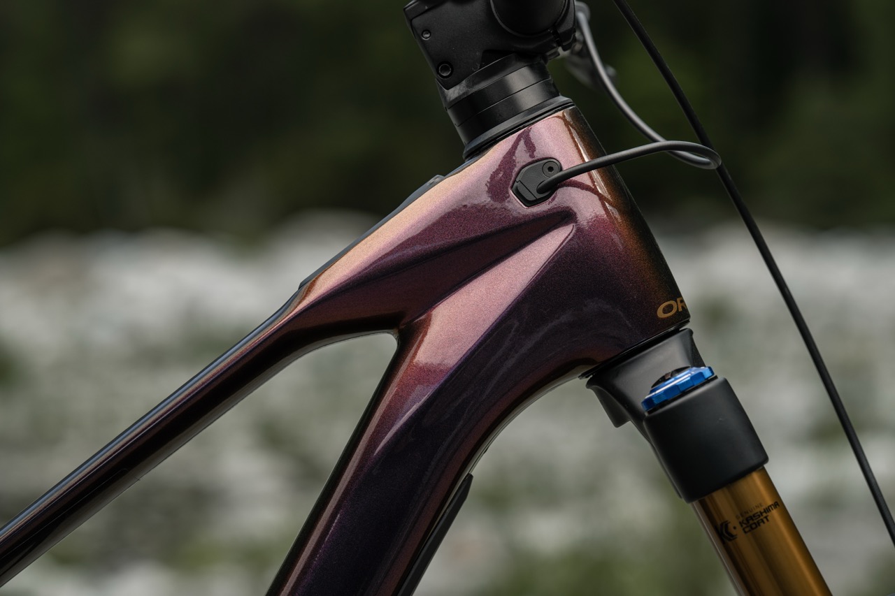 Orbea Wild LT M-LTD RS cable routing