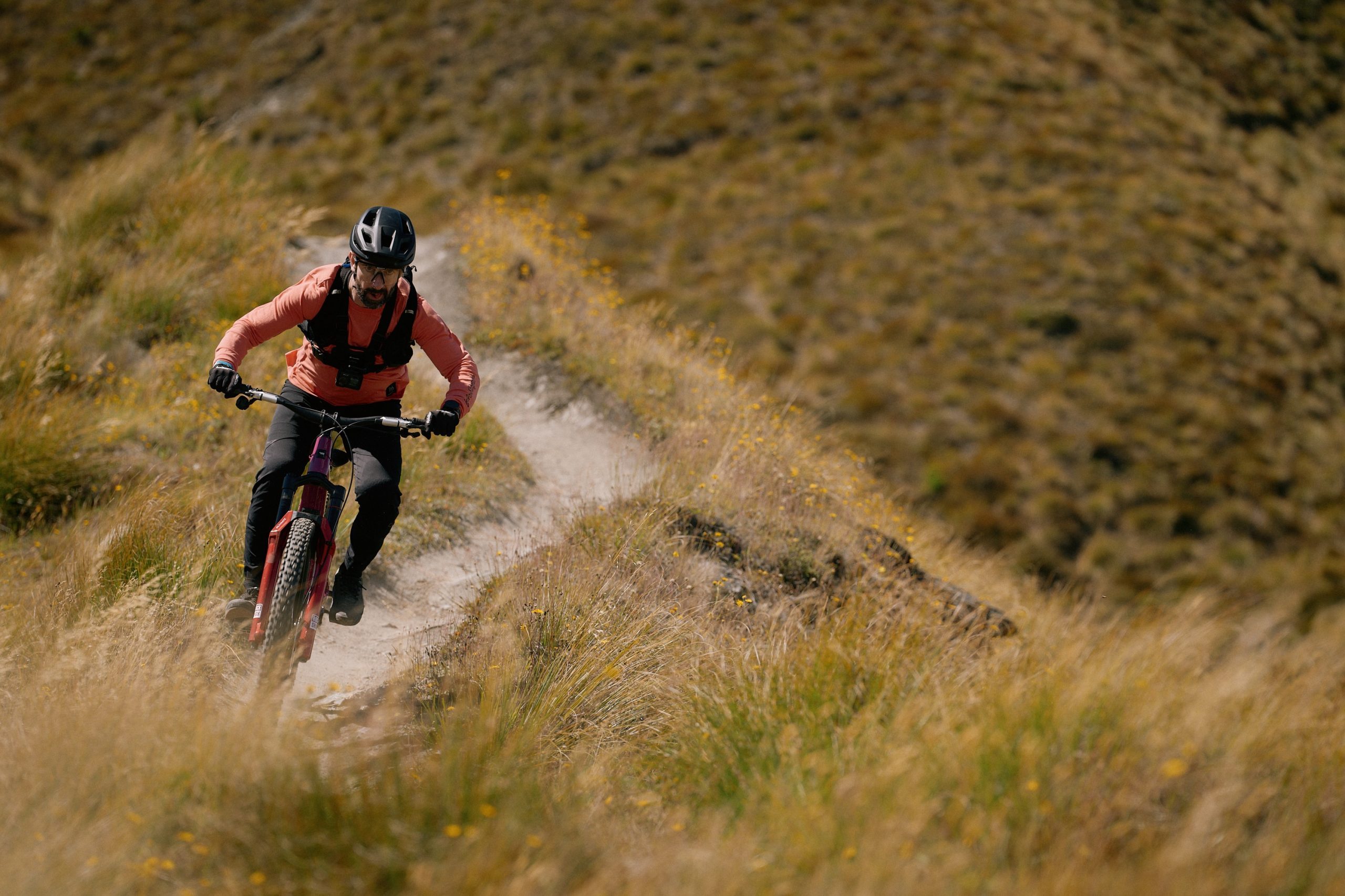 Rider descending sweeping singletrack that runs along the top of a ridge, flanked by tall grass and yellow flowers either side.