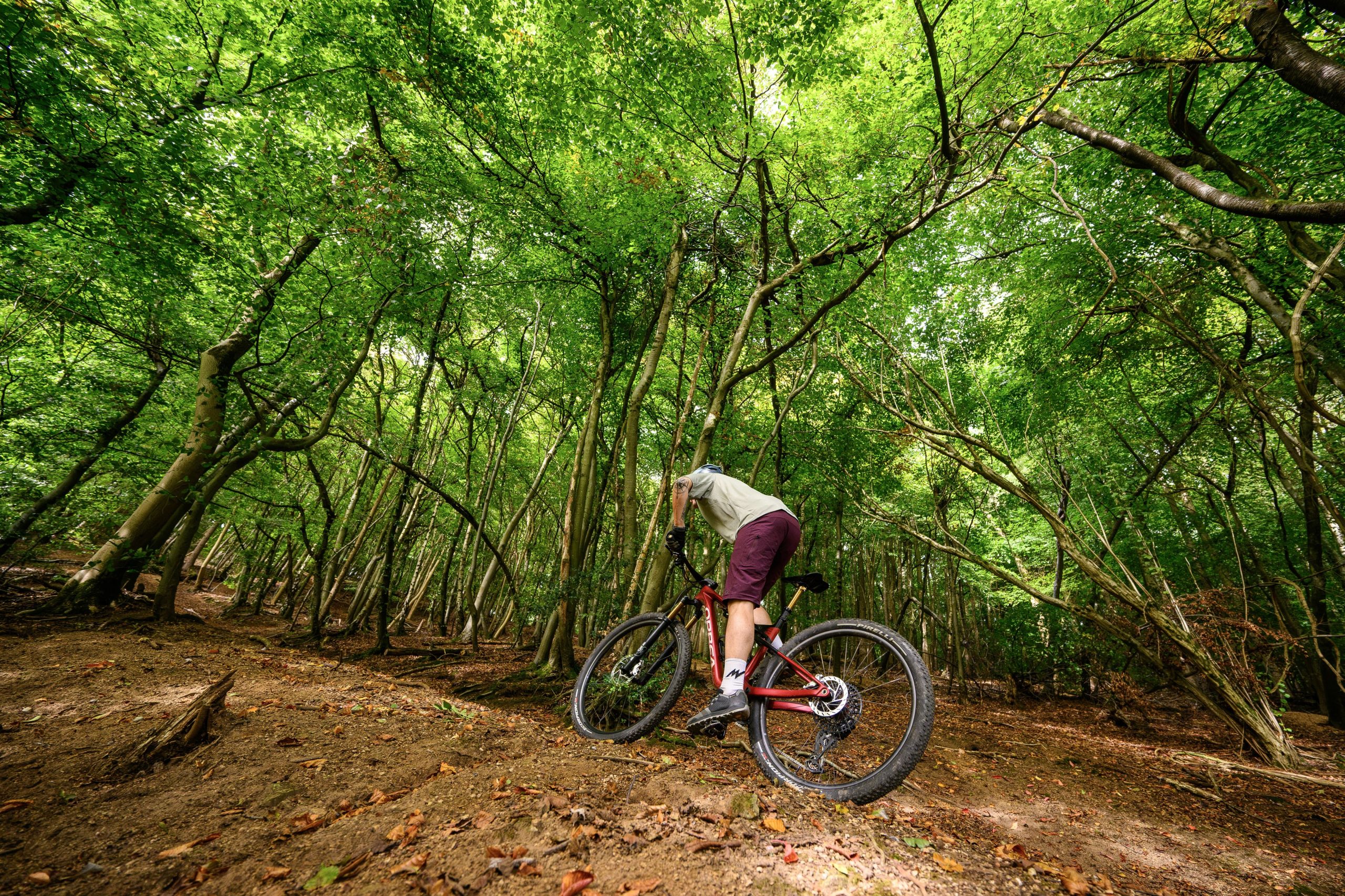 Rider in white t-shirt climbing up a trail aboard the Orbea Oiz.
