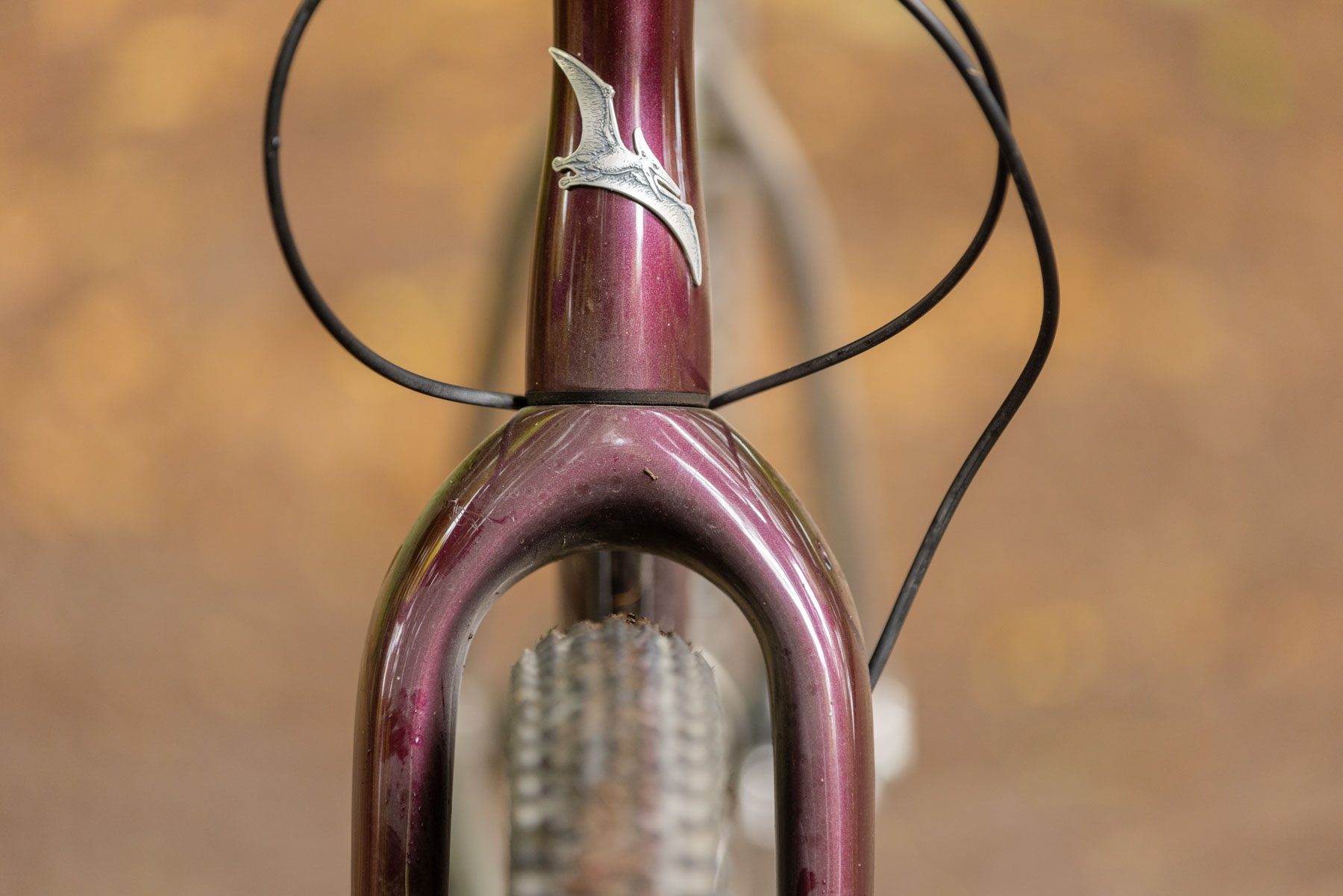 carbon Columbus fork