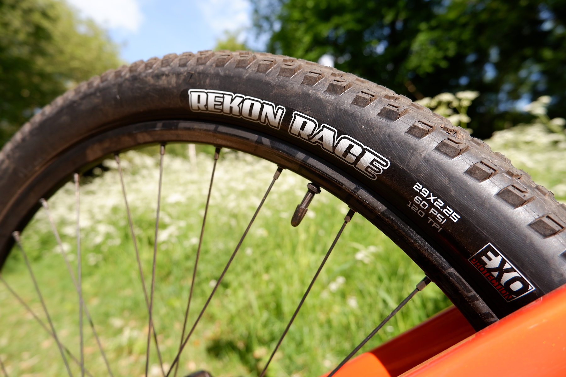 Cannondale Scalpel SE rear tyre