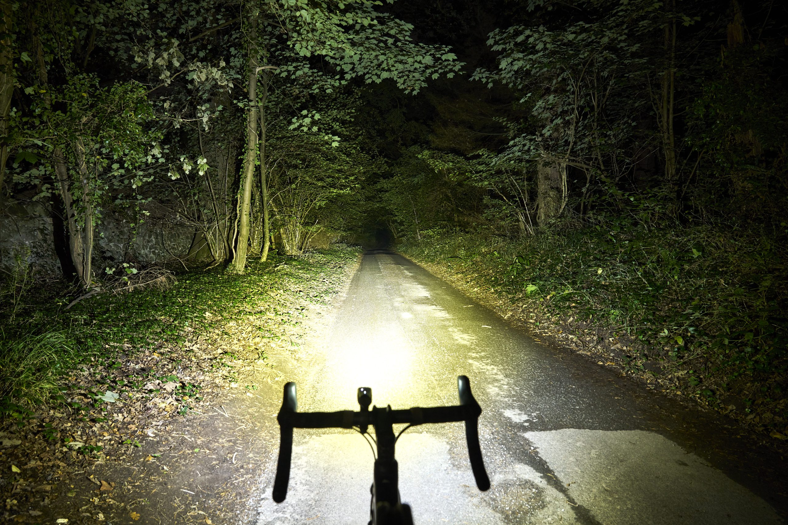 Sigma Buster 800 front light