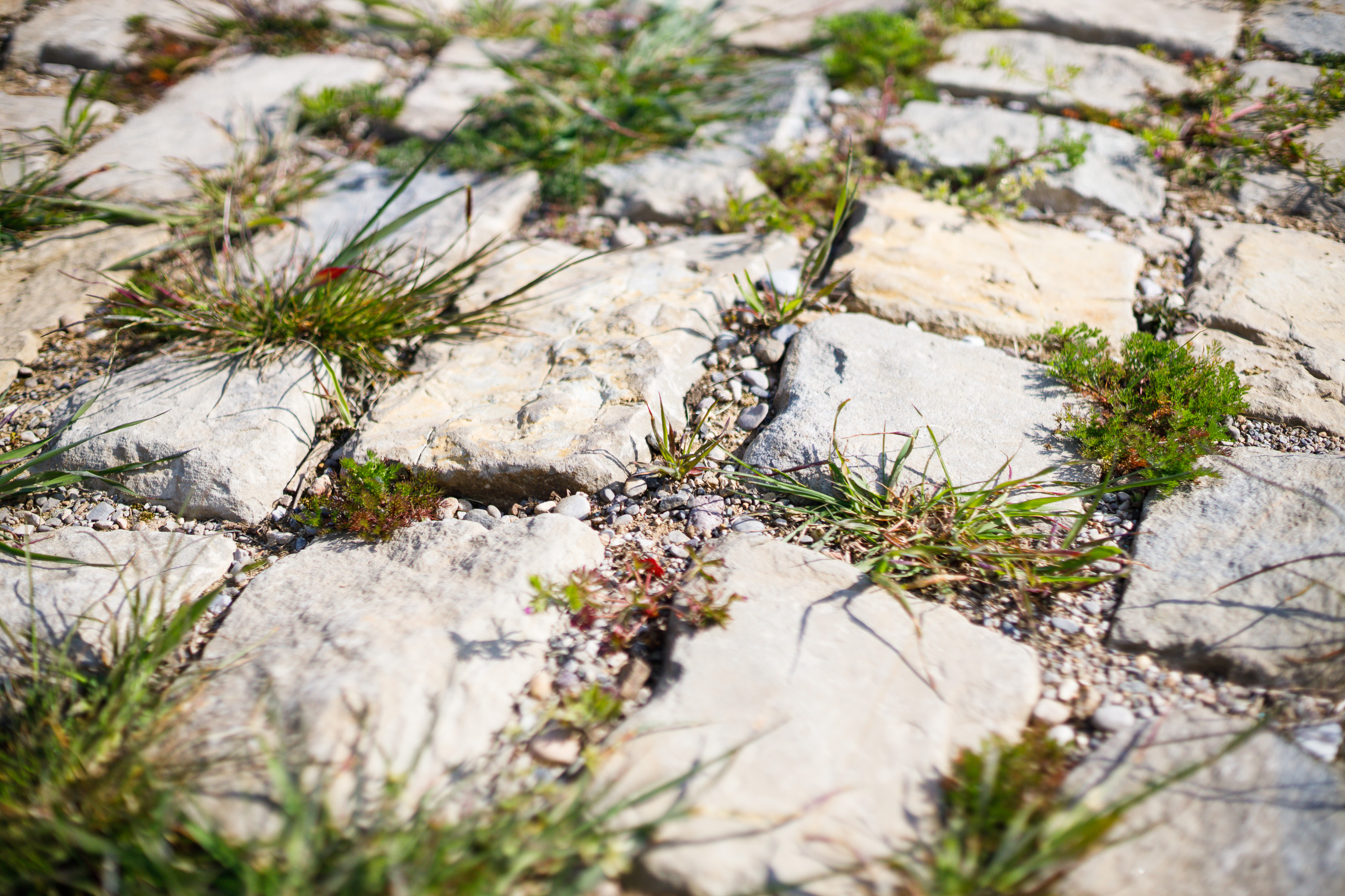 Vittoria Park cobbles detail