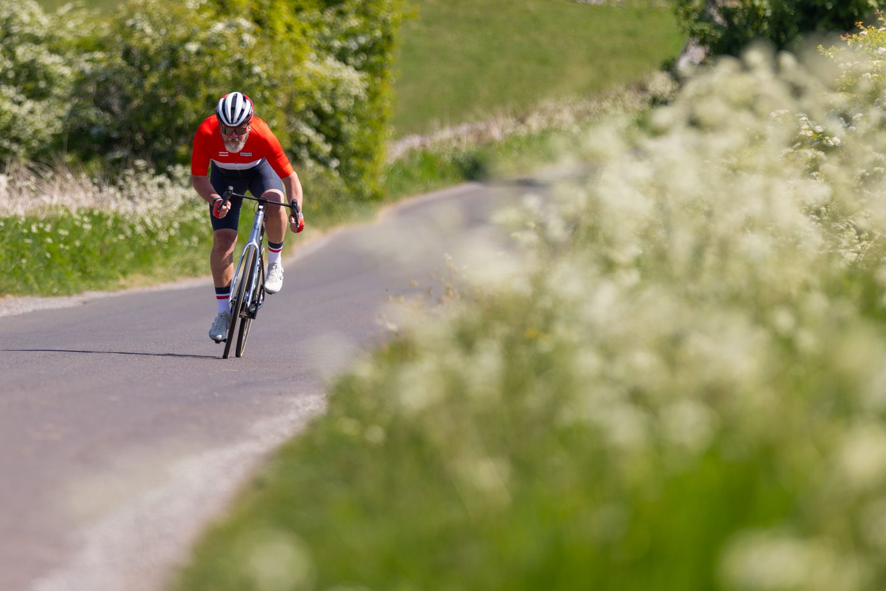 Cannondale Synapse Lab71