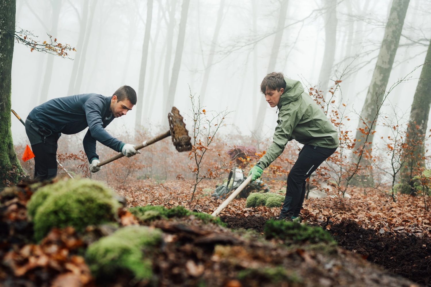 Basaburua MTB Trail Building