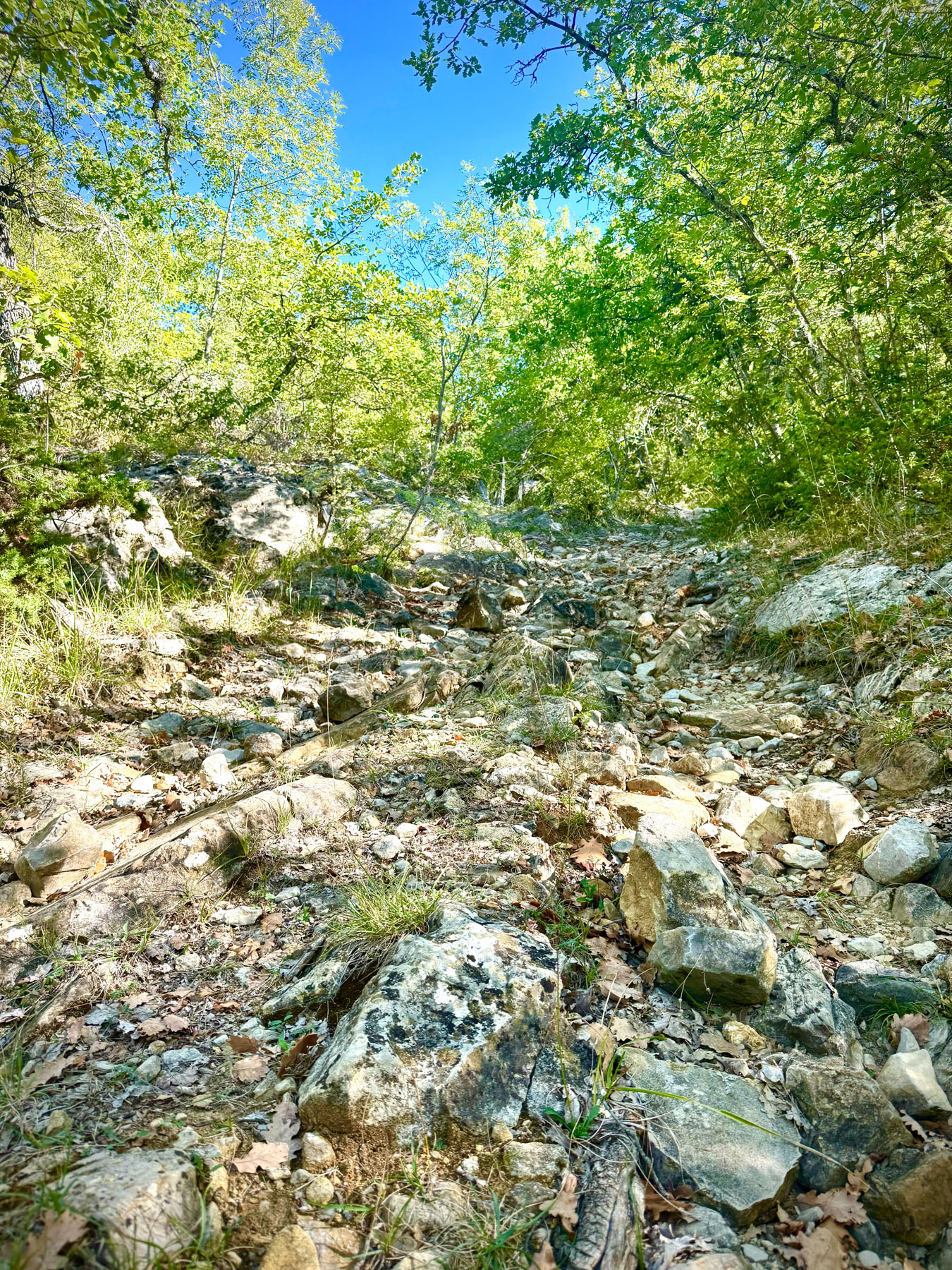 rock strewn gravel