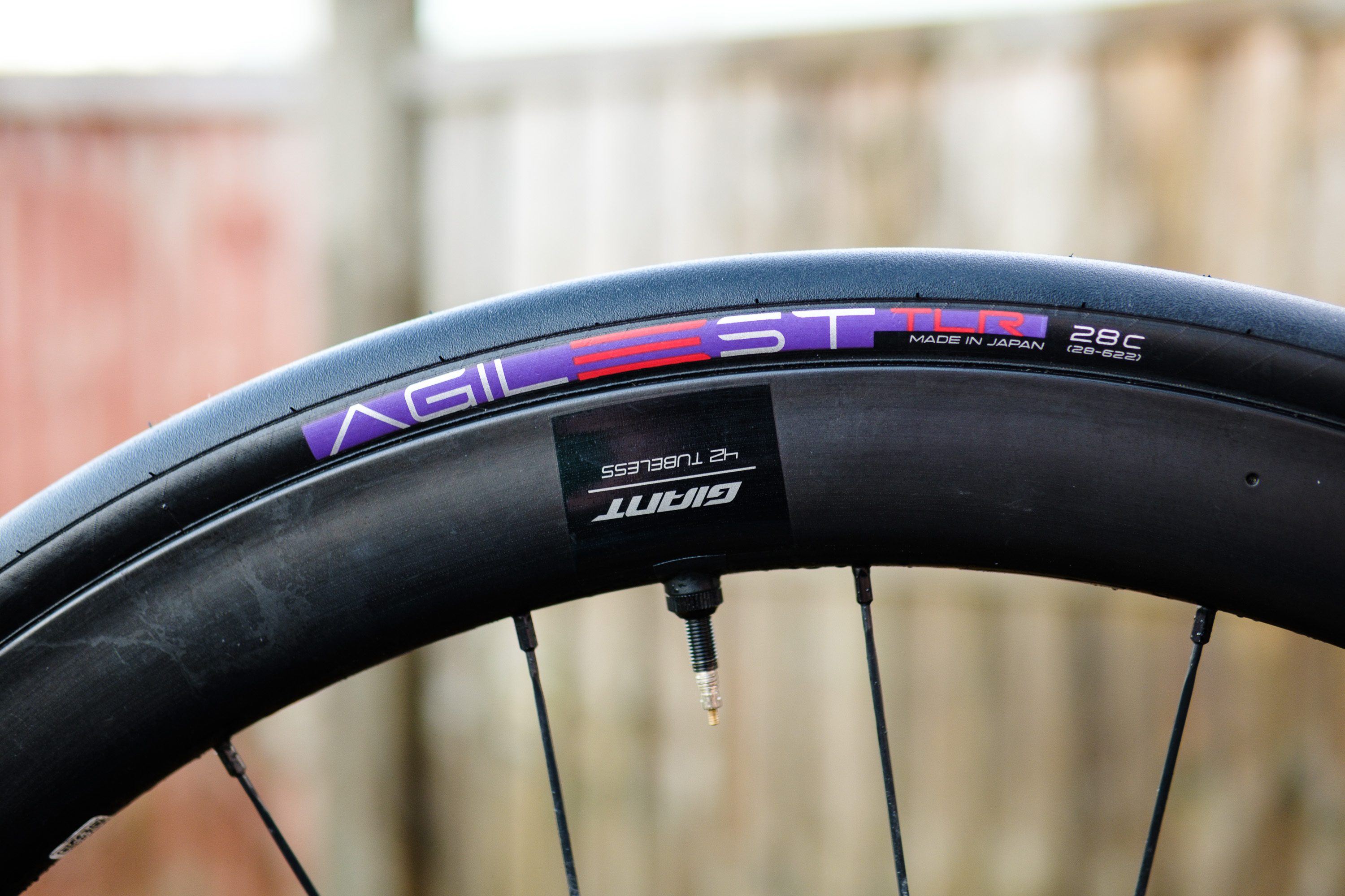 Panaracer Agilest TLR tyre Panaracer Agilest TLR tyre