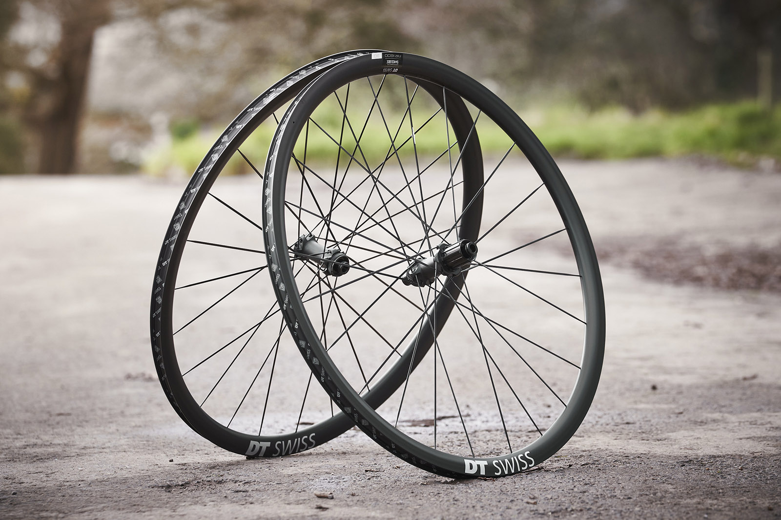 DT Swiss AR1600 Spline road bike wheelset