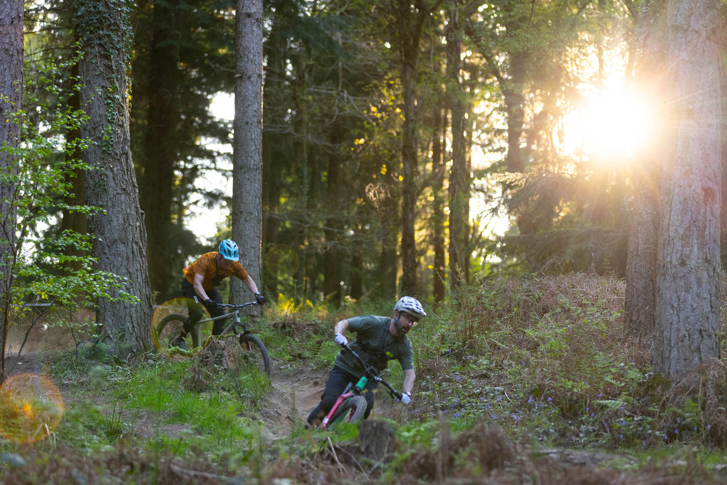 Forestry England trail centres