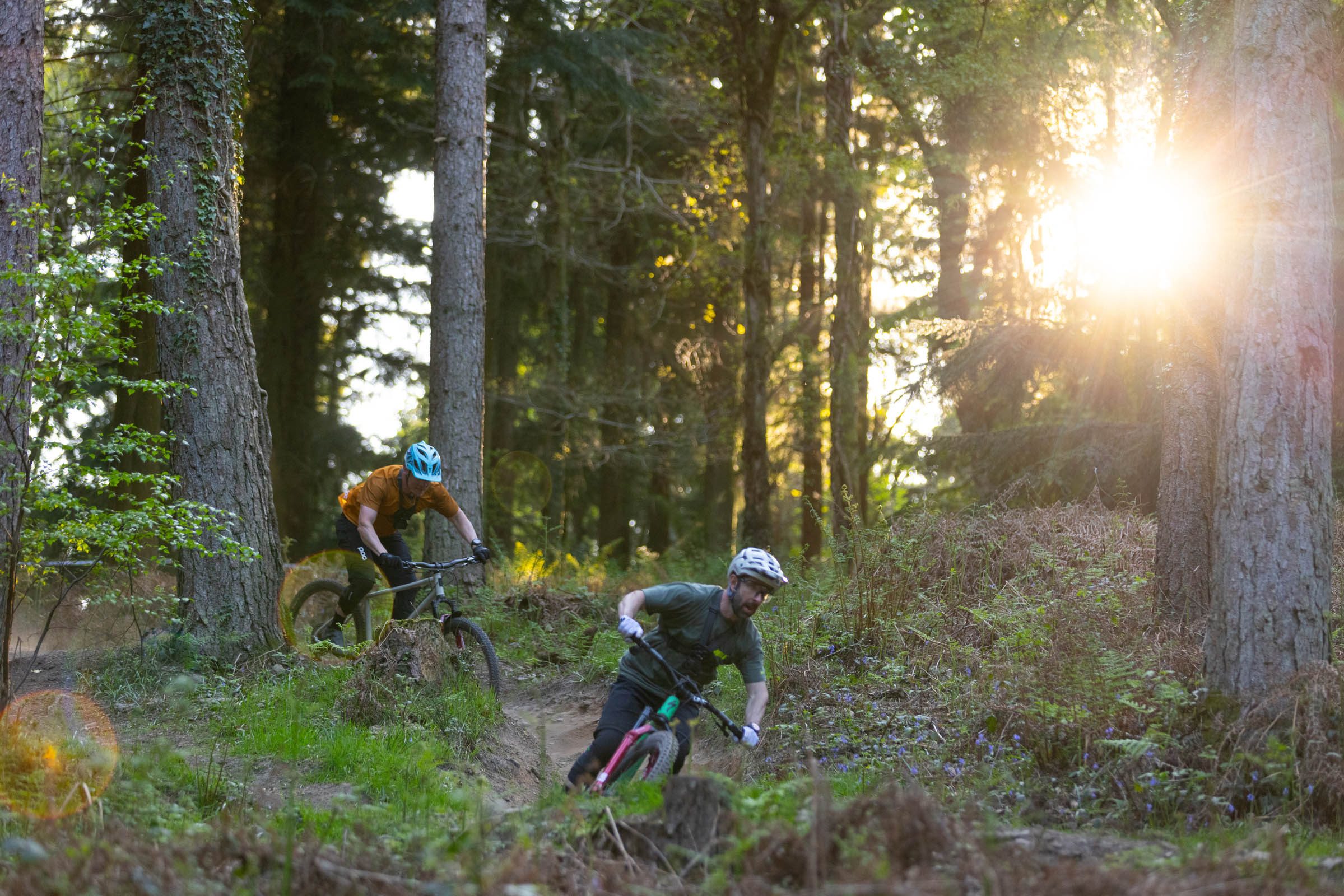 Forestry England trail centres