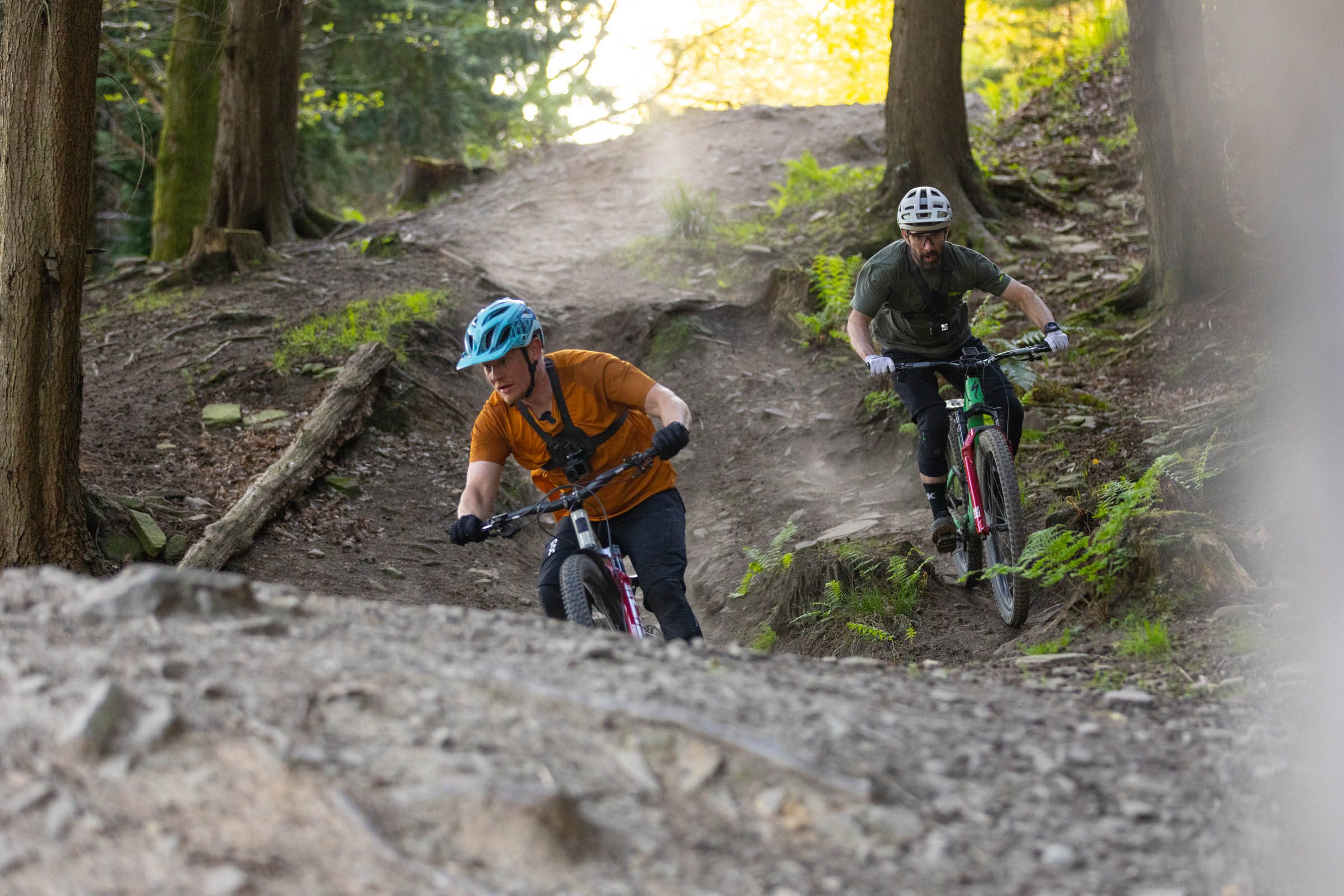 Forestry England trail centres