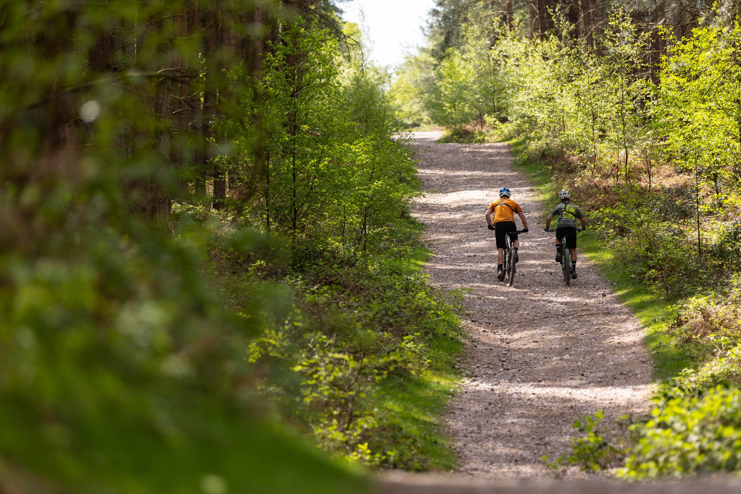 Forestry England trail centres
