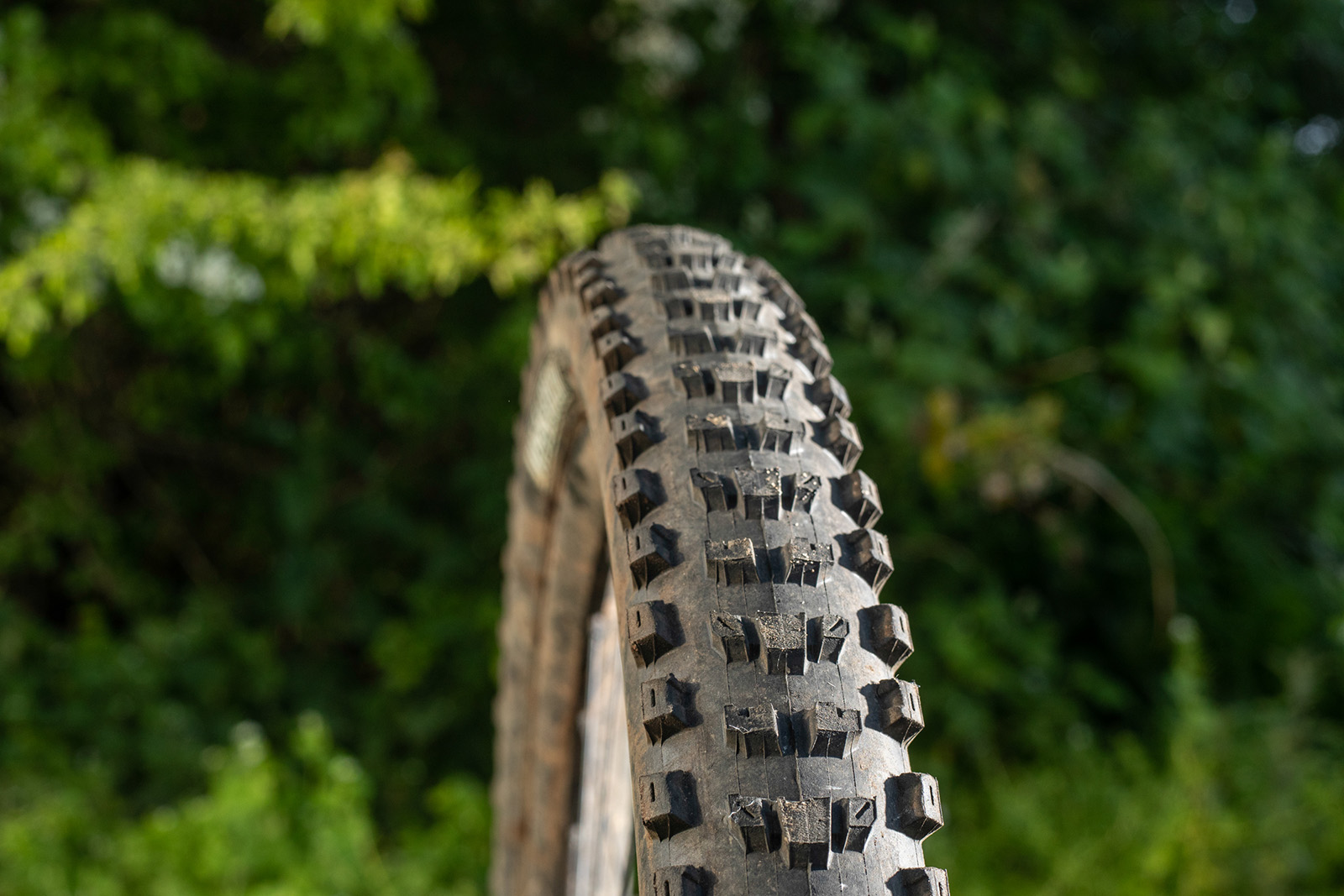 Maxxis Dissector 3C MaxxTerra EXO WT-1 Maxxis Dissector 3C MaxxTerra EXO WT mountain bike tyre