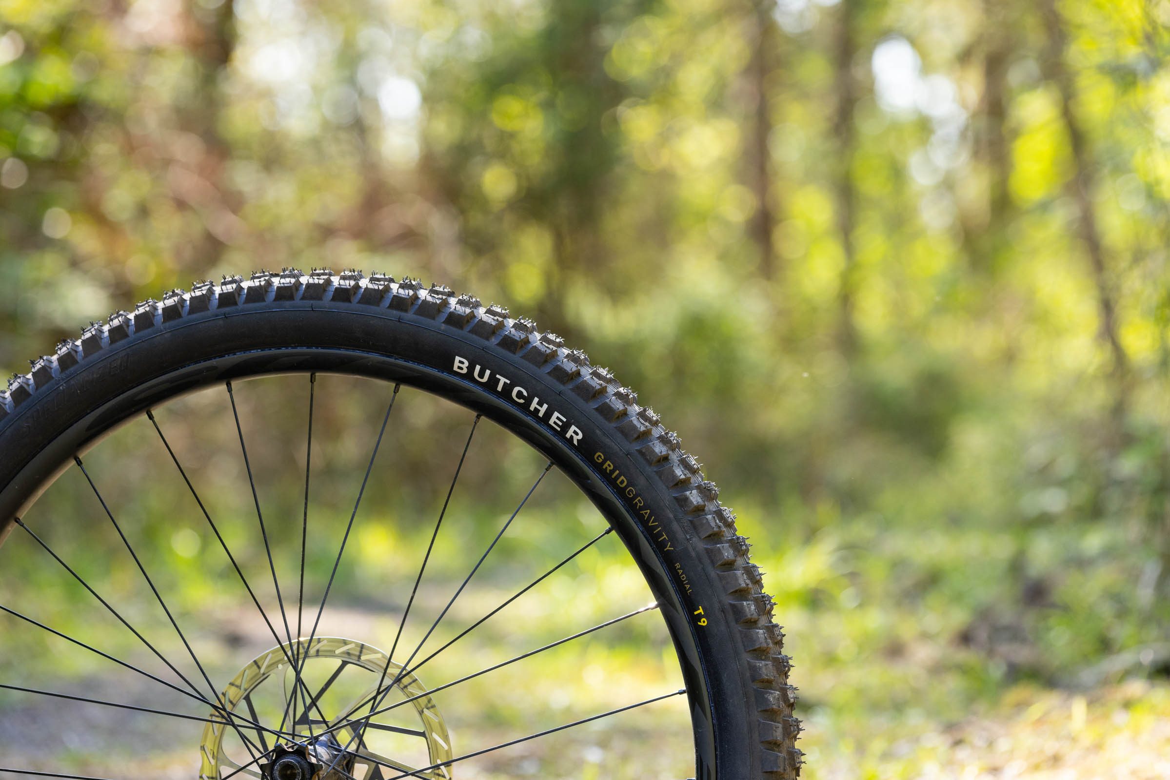 Specialized Butcher Grid Gravity Radial T9 mountain bike tyre mounted on a wheel in a woodland setting.