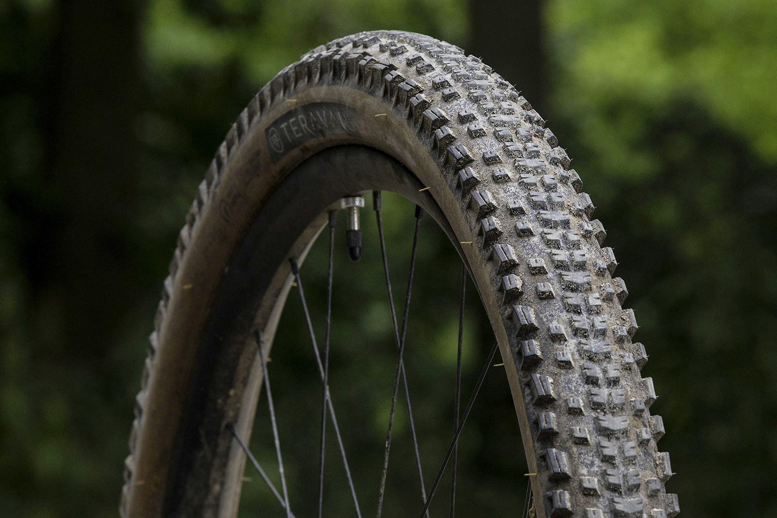 Teravail Ehline Light and Supple mountain bike tyre