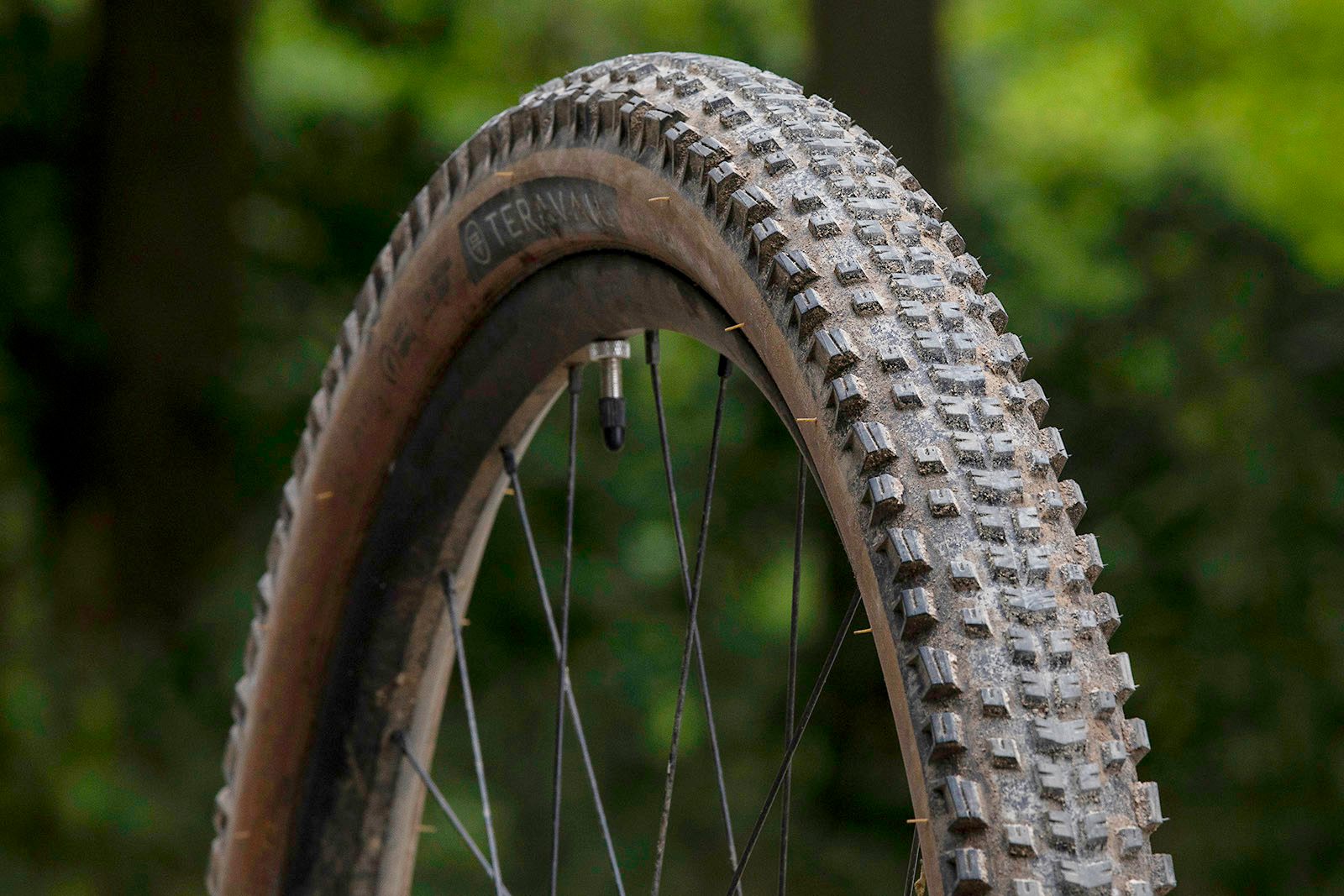Teravail Ehline Light and Supple mountain bike tyre