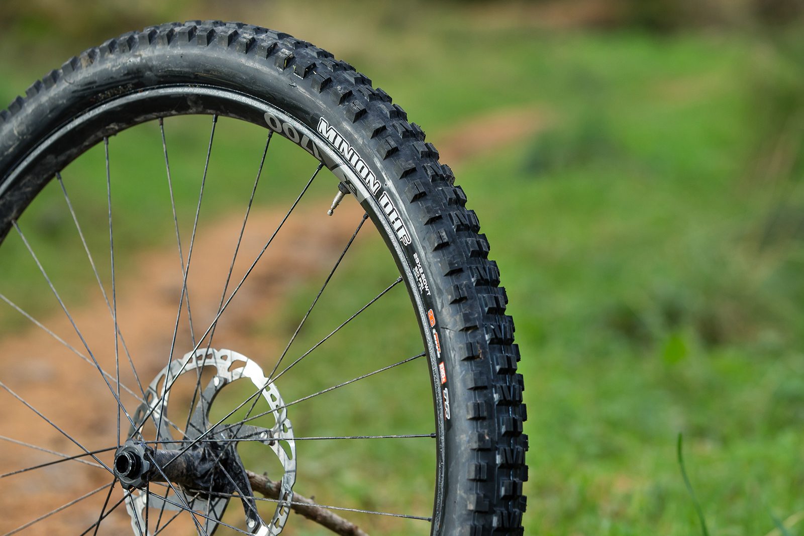 Maxxis Minion DHF 3C MaxxTerra EXO TR WT mountain bike tyre