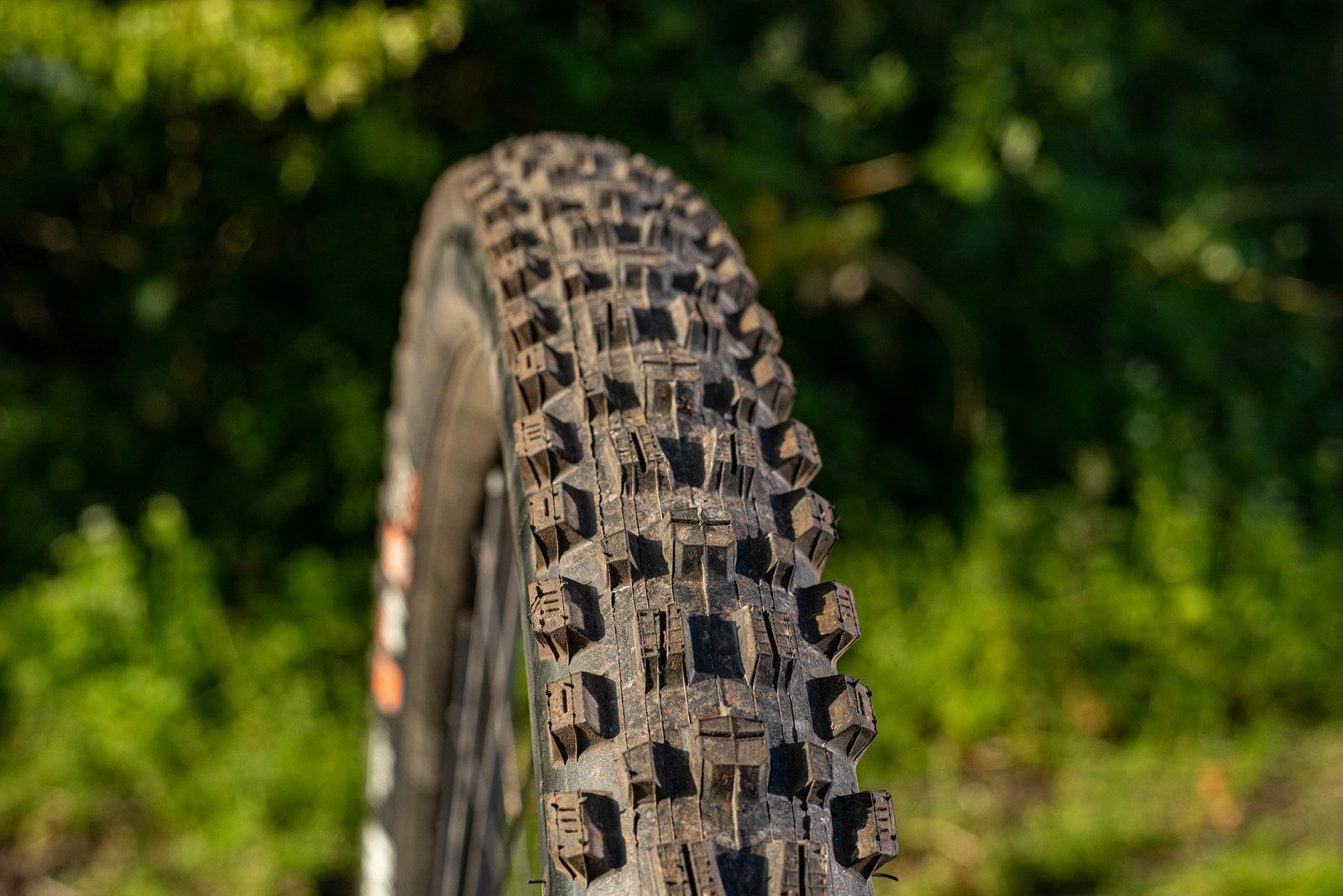 Maxxis Assegai 3C MaxxGrip EXO+ WT mountain bike tyre